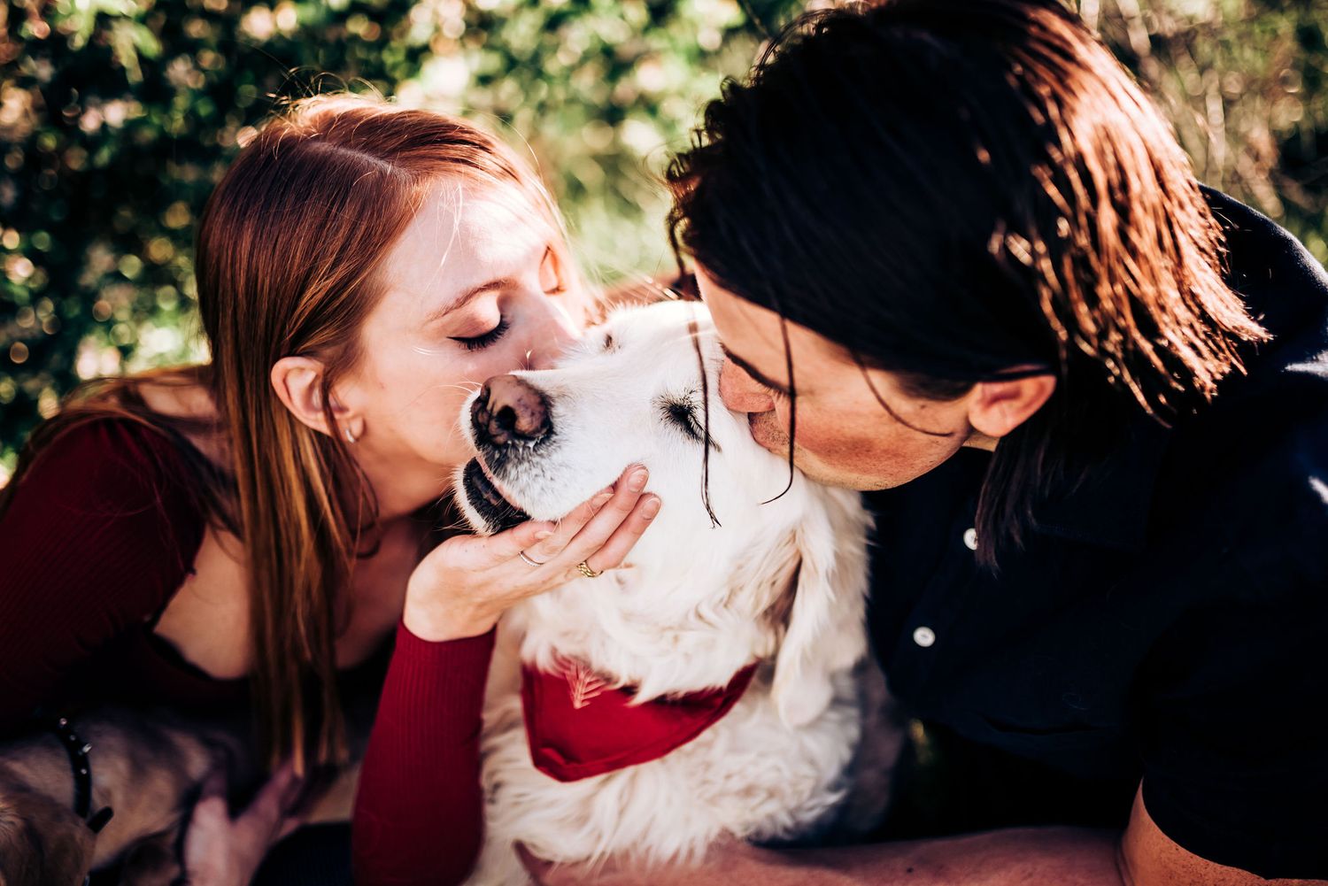 A white dog receives kisses and affection from its owners in sunlit outdoor setting.