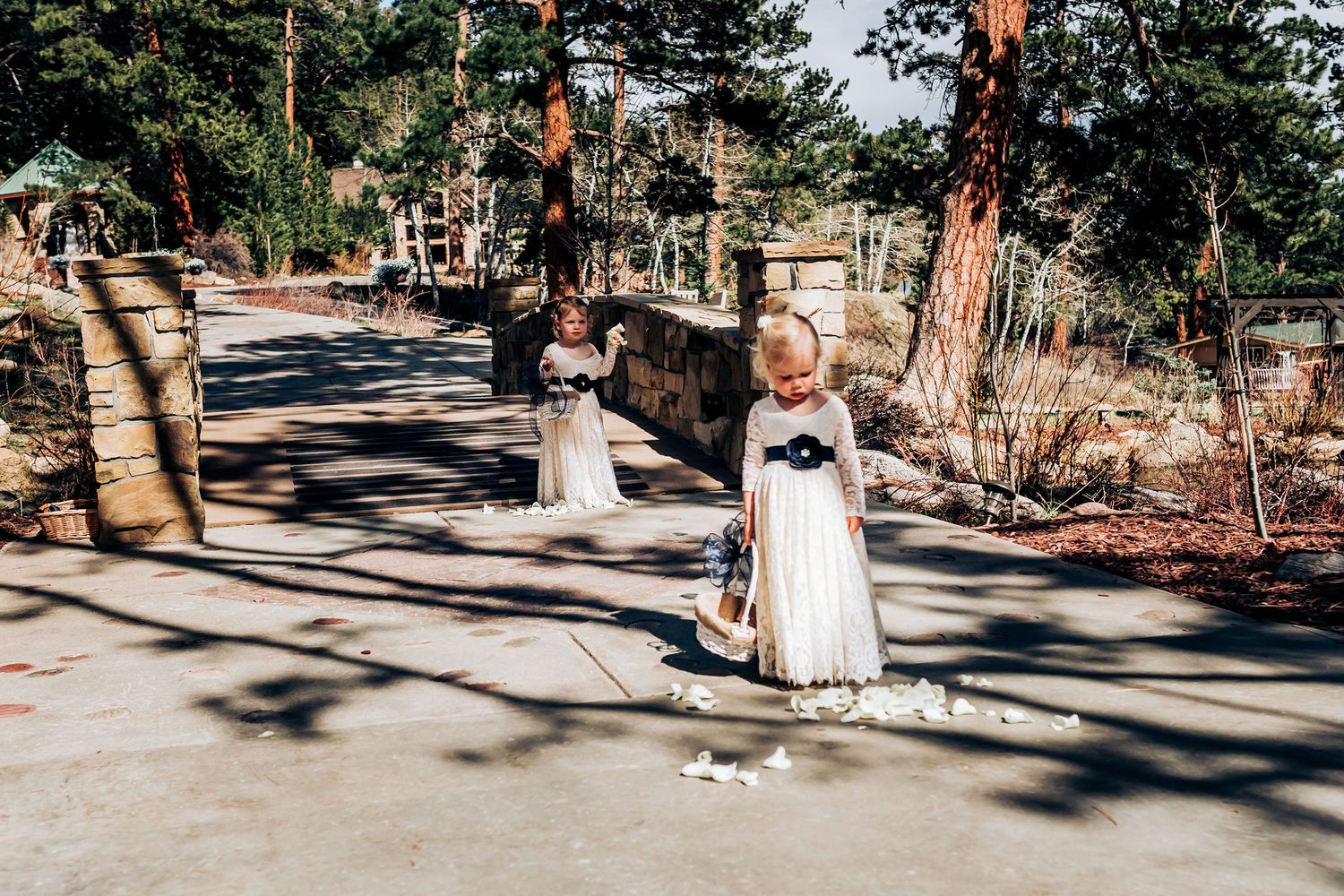 Flower girl in white dress scatters petals on pathway during wedding.