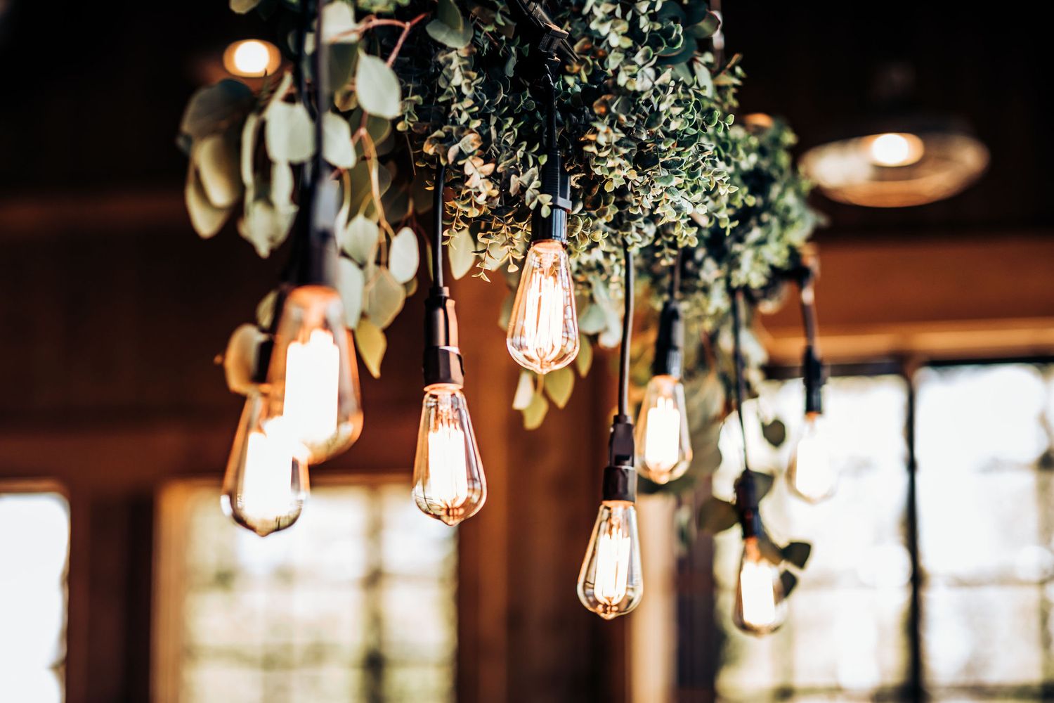 Vintage Edison bulbs suspended from branches with green foliage create ambient lighting.