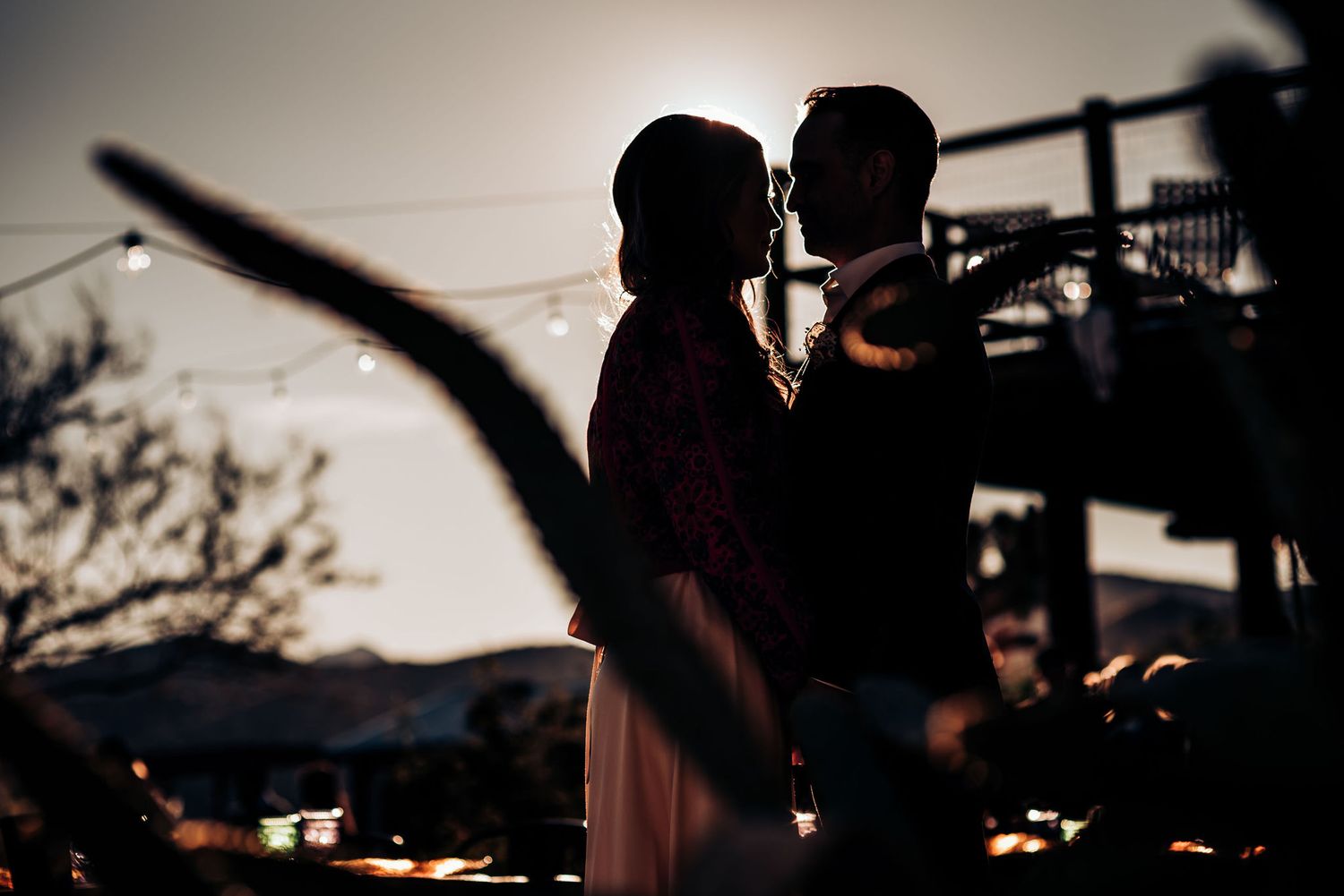 A silhouetted couple shares an intimate moment against a dusky sky.