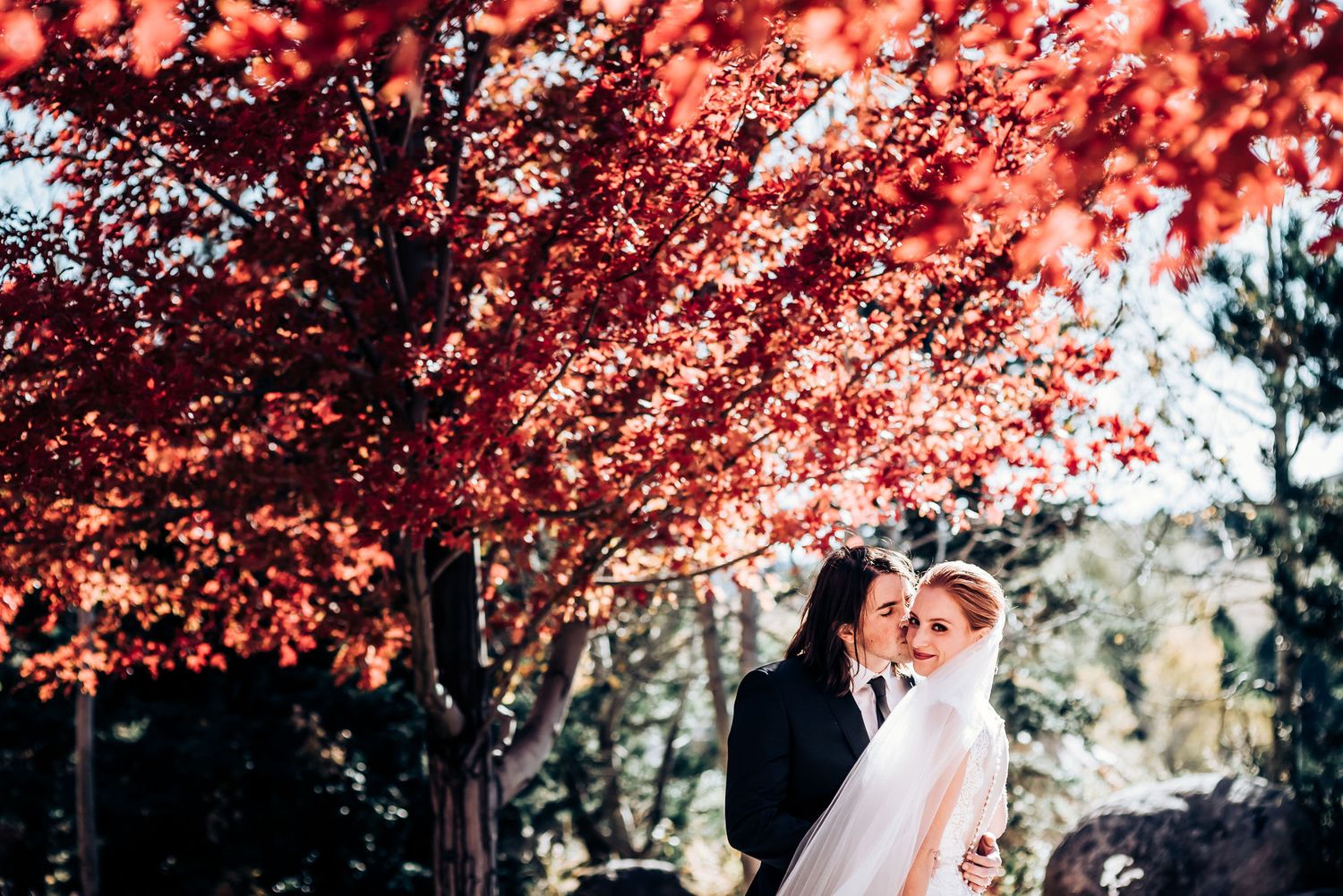 A tender wedding moment captured beneath the canopy of glowing red autumn foliage.