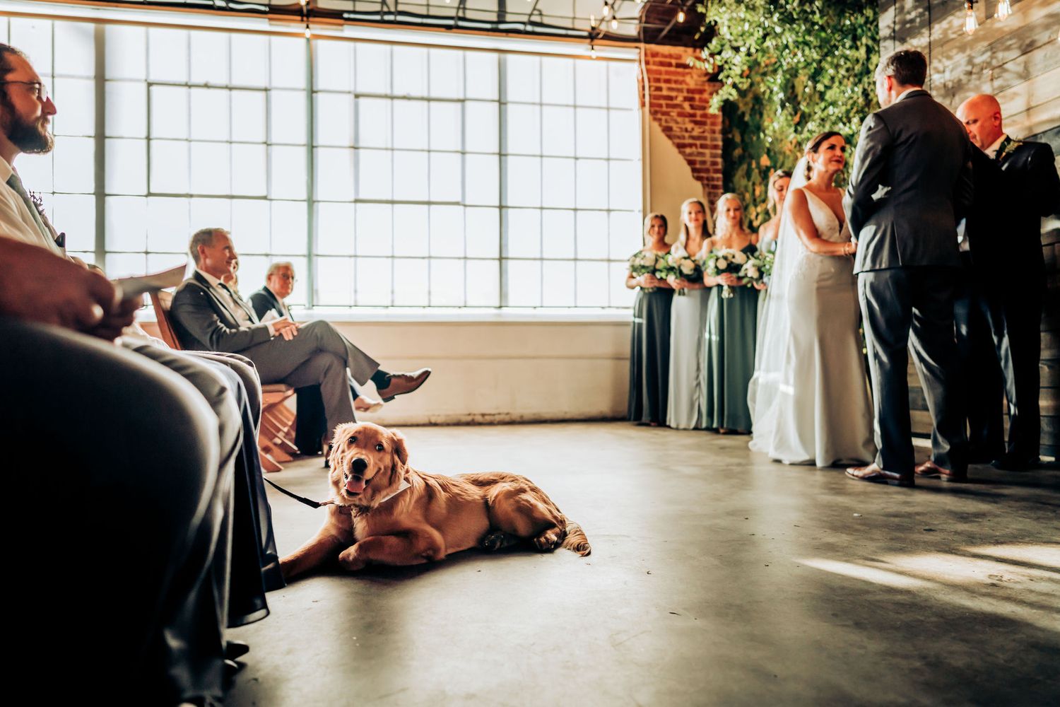 A friendly dog lays on the floor during an indoor wedding ceremony.