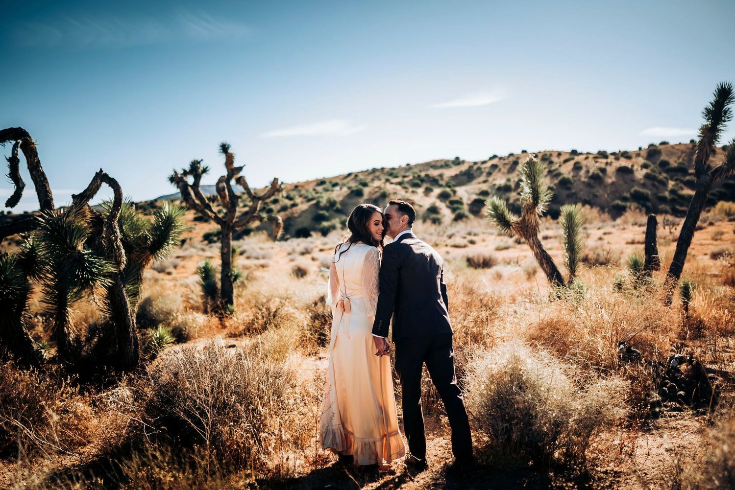 Wide landscape shot of desert wedding ceremony with mountains and cacti.
