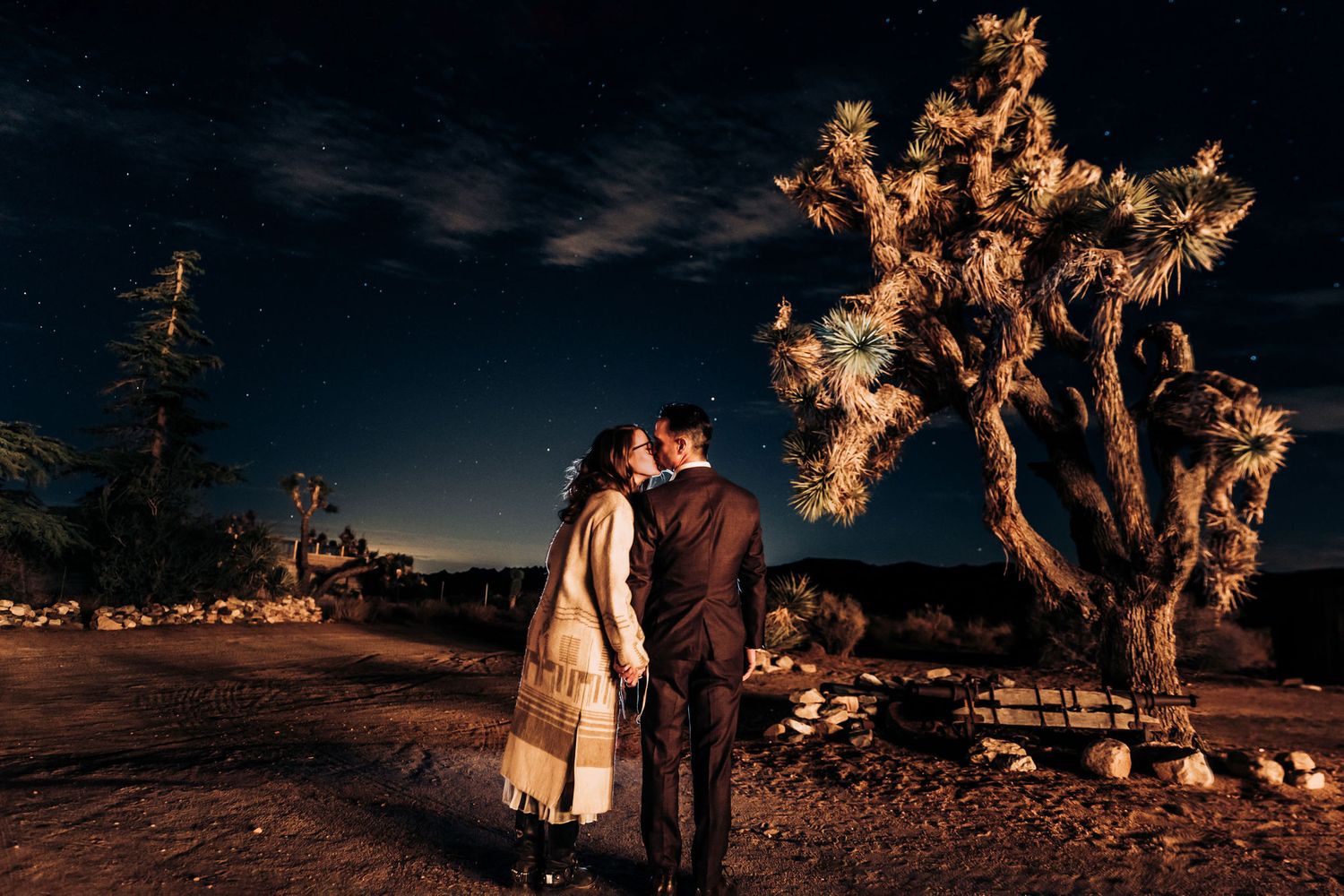 A couple embracing at night in front of an illuminated desert tree.