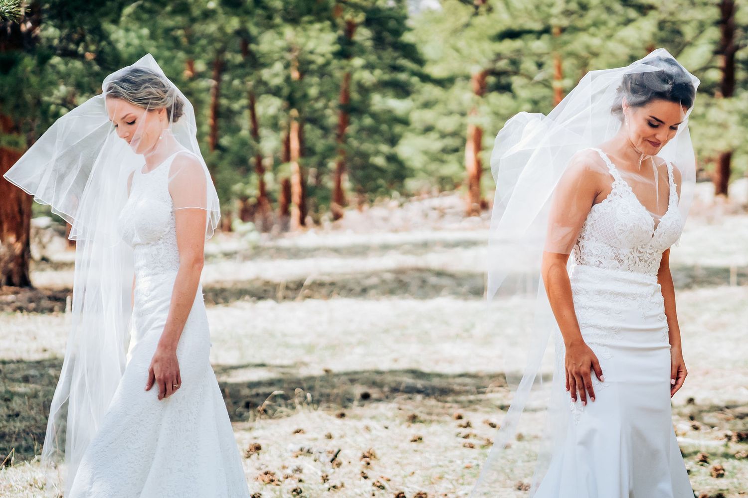 Two brides in elegant white gowns share a moment in a pine forest.