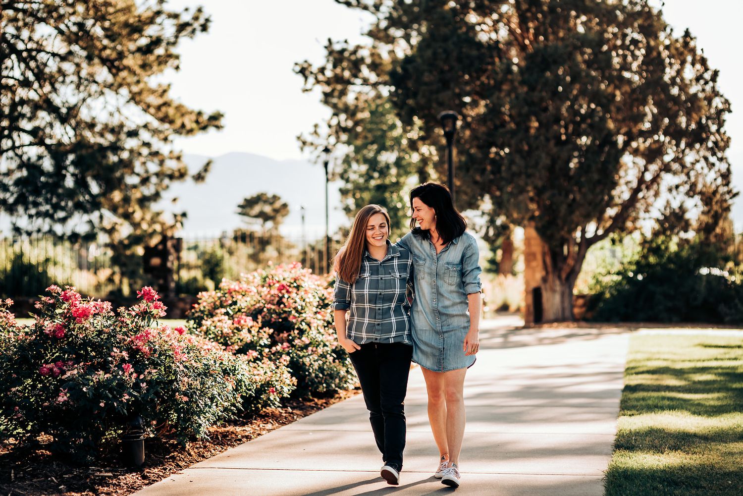 Two people walk together on a garden path lined with blooming rose bushes.