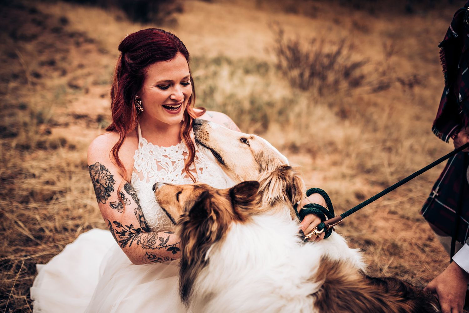 Wedding dress and pup share joyful moment in outdoor setting.