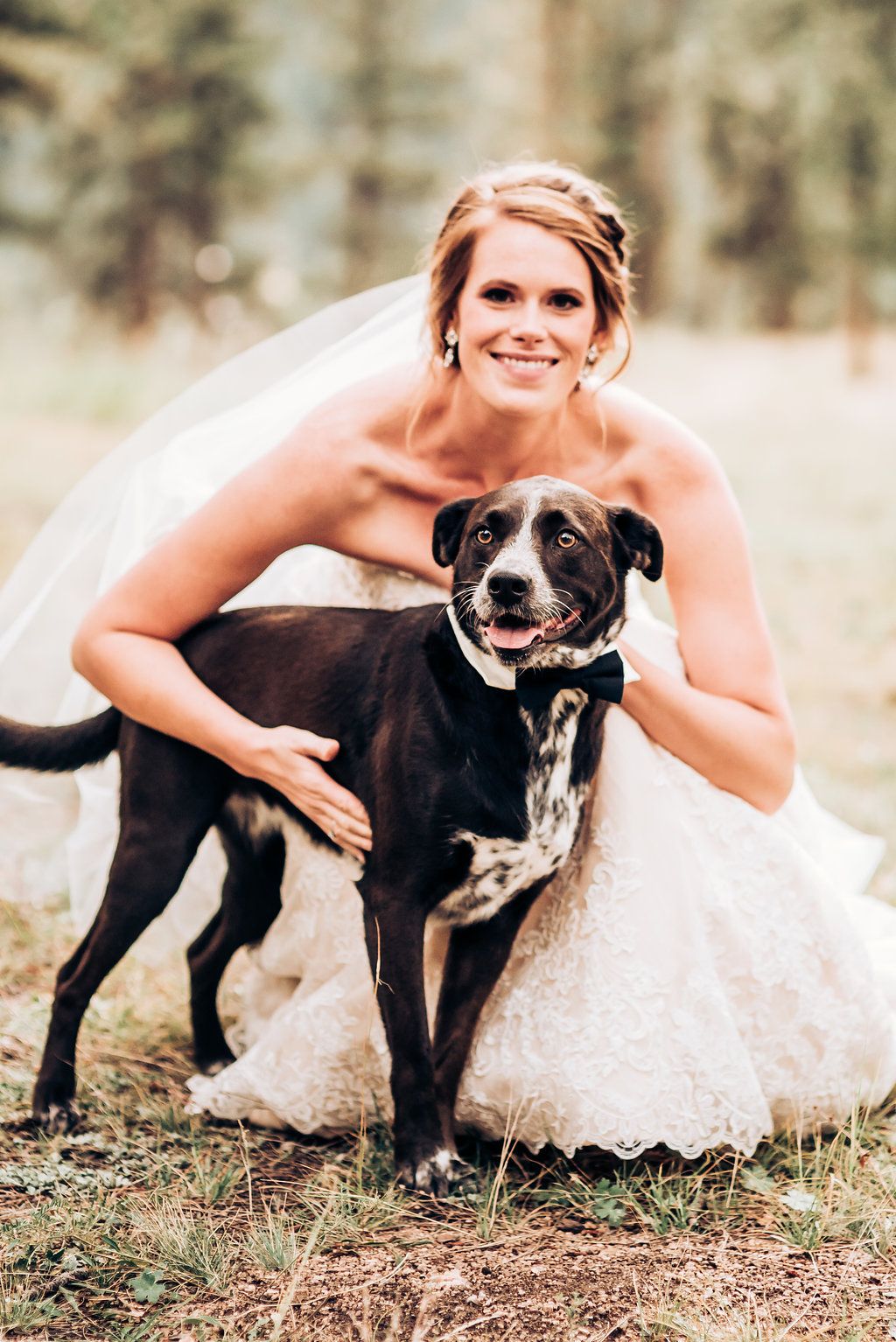 Black and white dog poses with bride holding colorful bouquet in outdoor wedding photo.