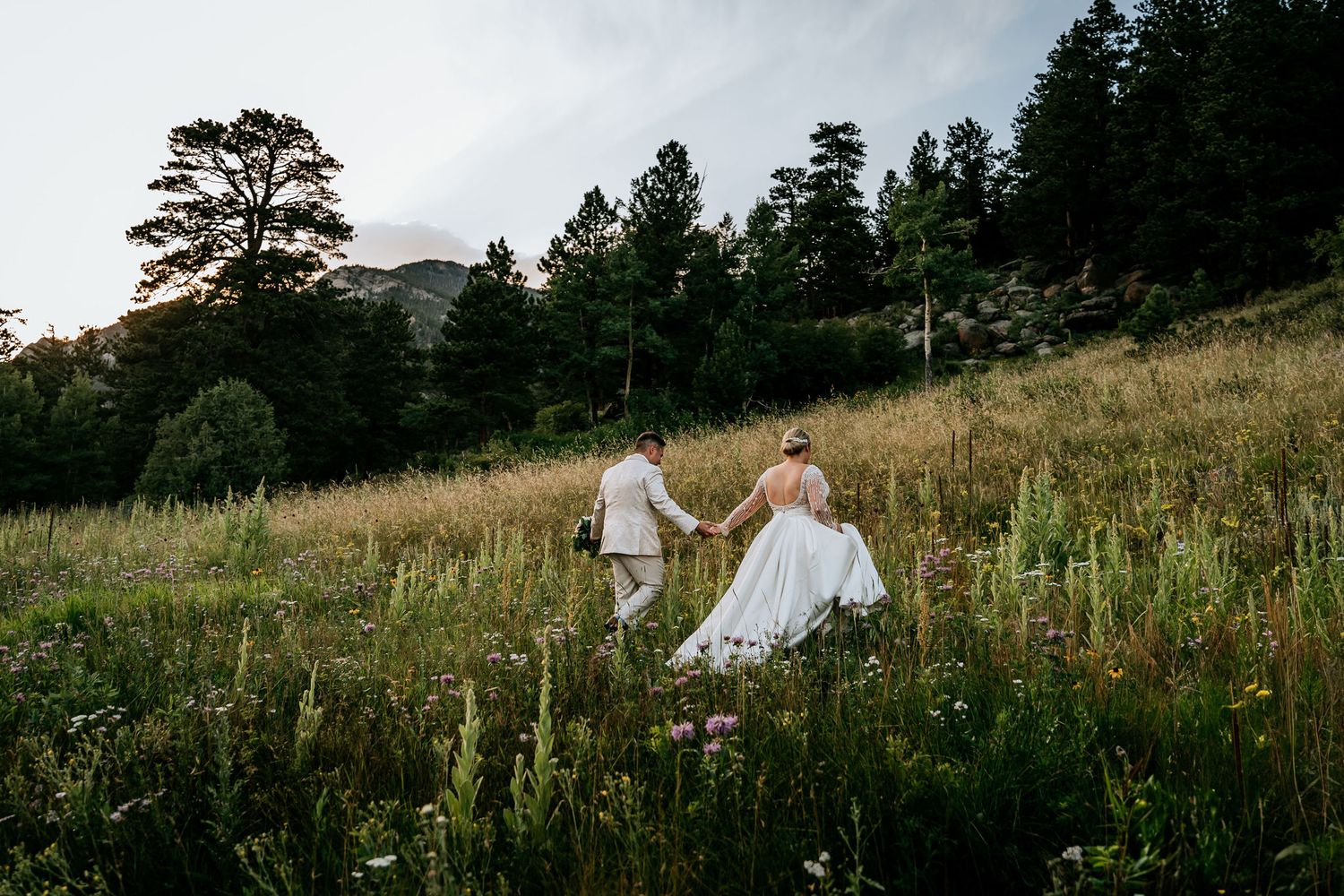 Wedding couple walks through mountain wildflowers at sunset with evergreen forest in background.