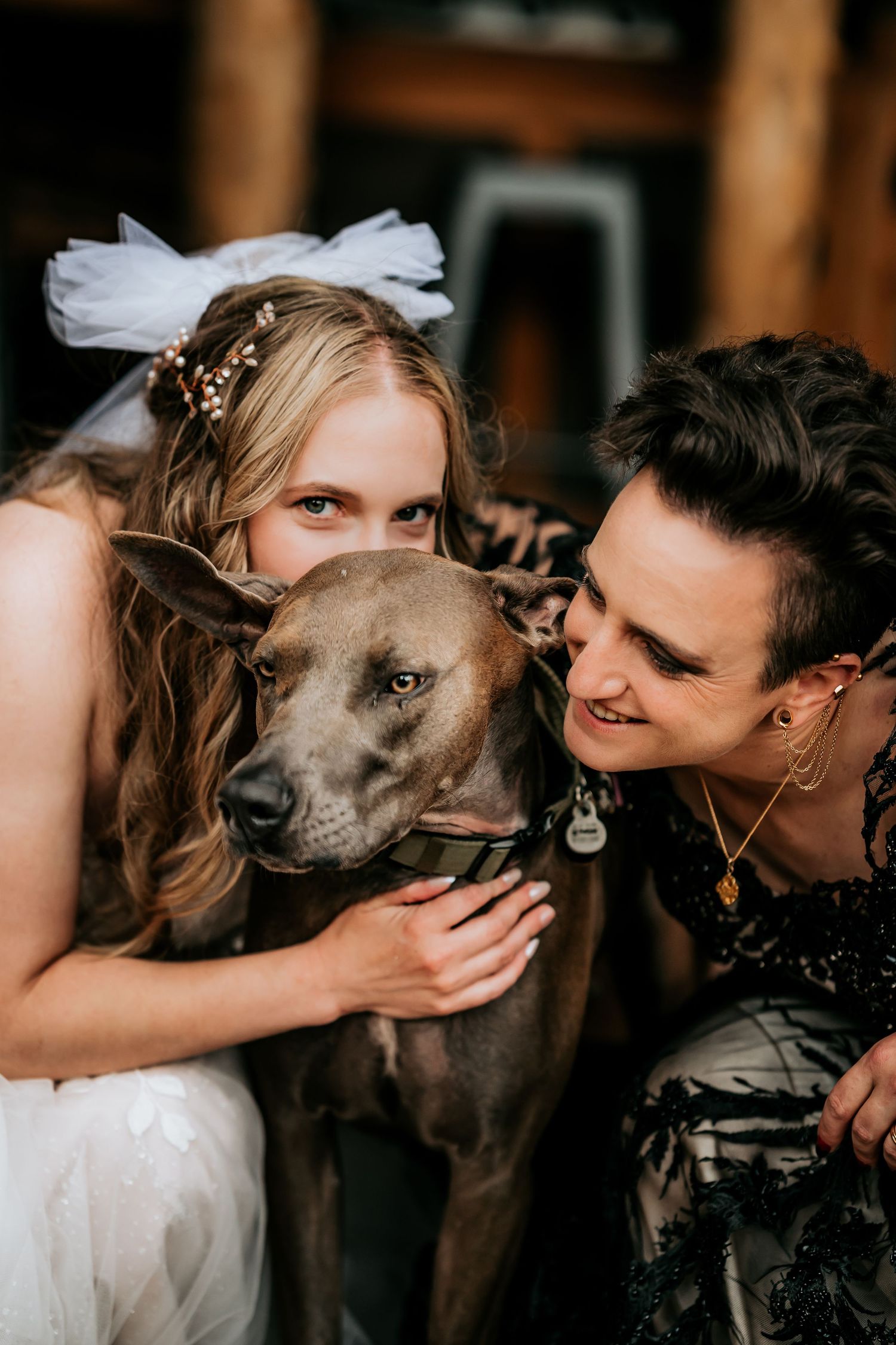 A couple shares tender moments with their beloved Weimaraner dog during their wedding photoshoot.