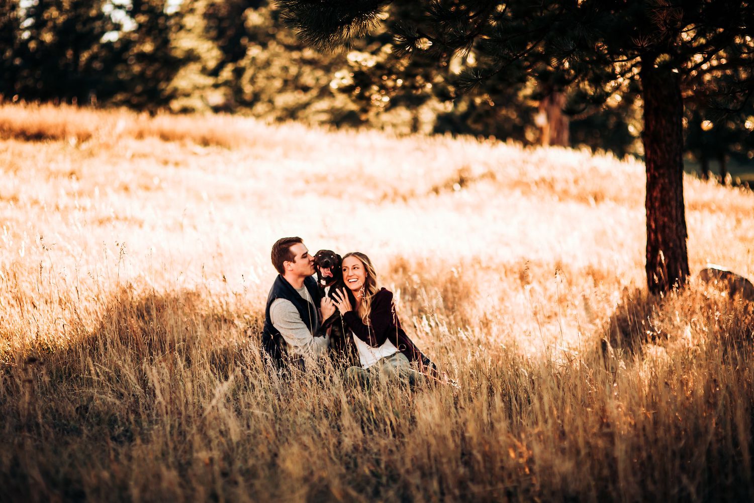A romantic moment captured between two people sitting in tall golden grass beneath a tree at sunset.