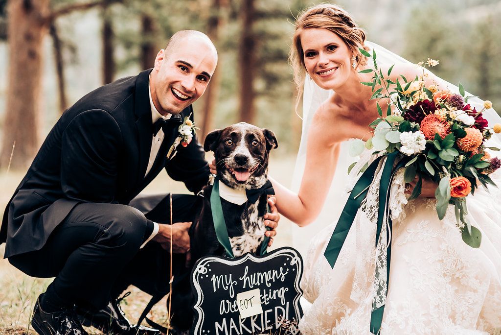 Dog with chalkboard sign shares special moment with wedding couple in forest setting.