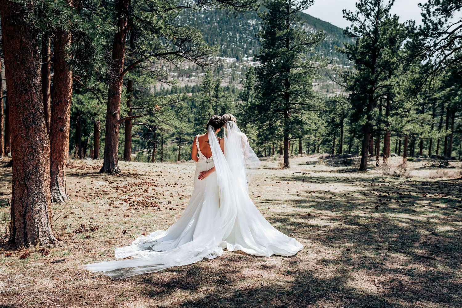 Two wedding dresses with long trains photographed in mountain forest setting.