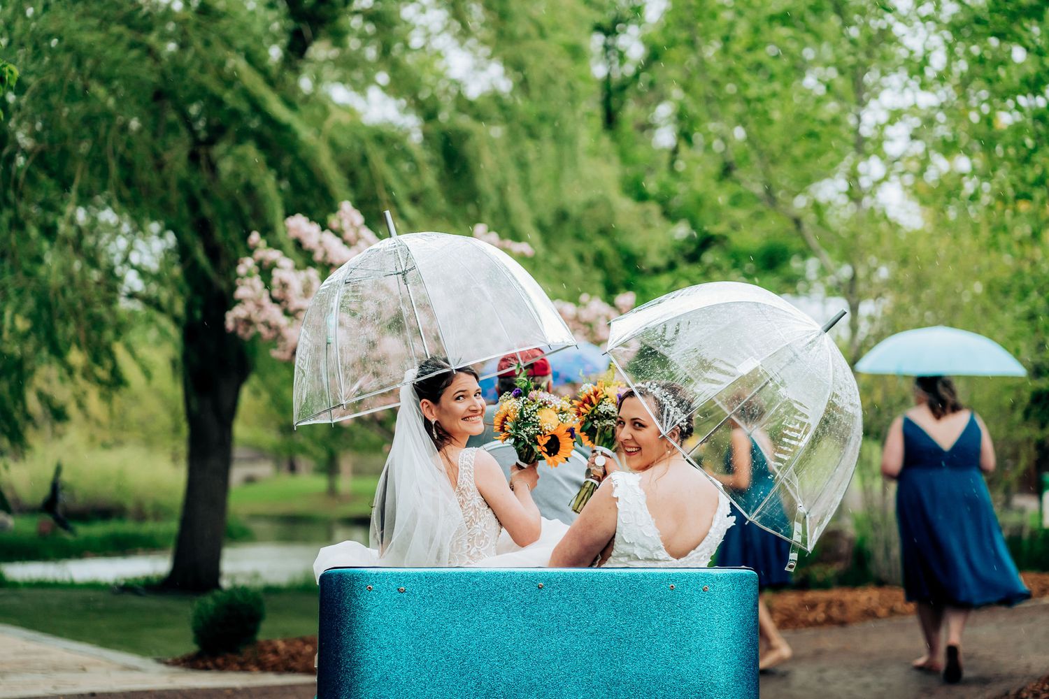 Joyful couple with clear umbrellas share a laugh while sitting on blue bench in garden setting.