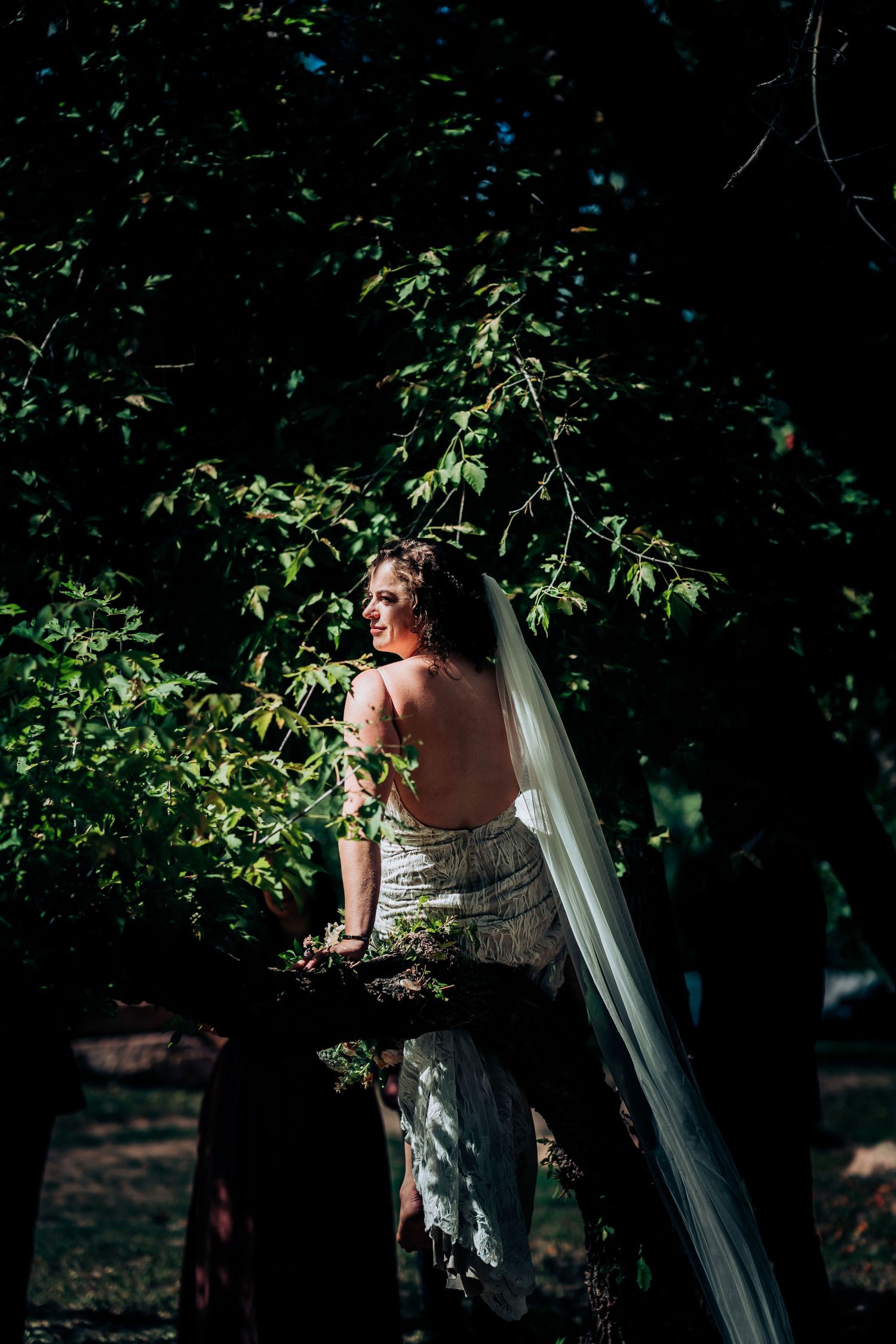 Backlit bridal portrait showing intricate lace dress details against green foliage.