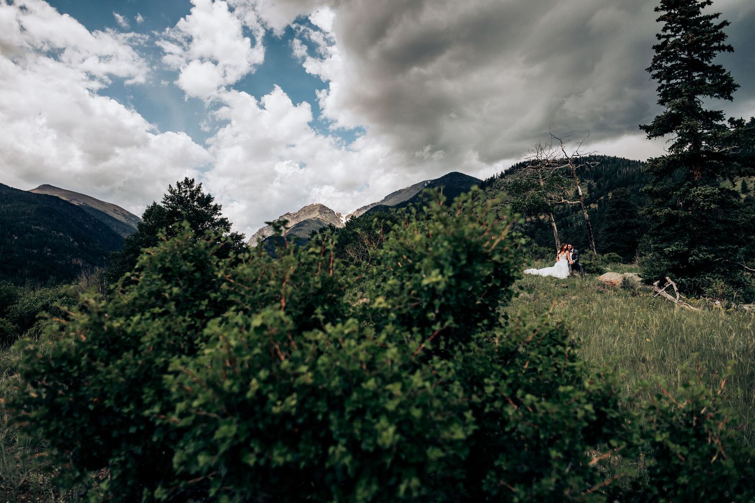 Mountain landscape with evergreen trees and dramatic clouds in a scenic wilderness setting.