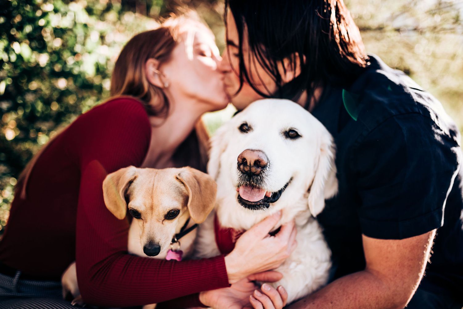 A happy couple shares affection with their two dogs in a sunny outdoor setting.