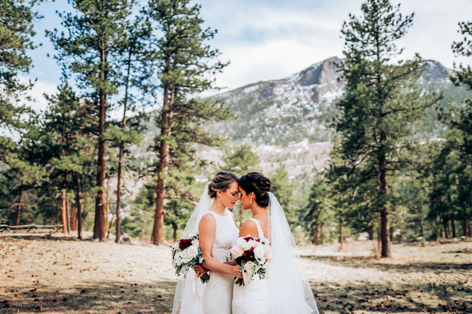 Wedding photography in mountain wilderness with snow-capped peaks and pine trees.