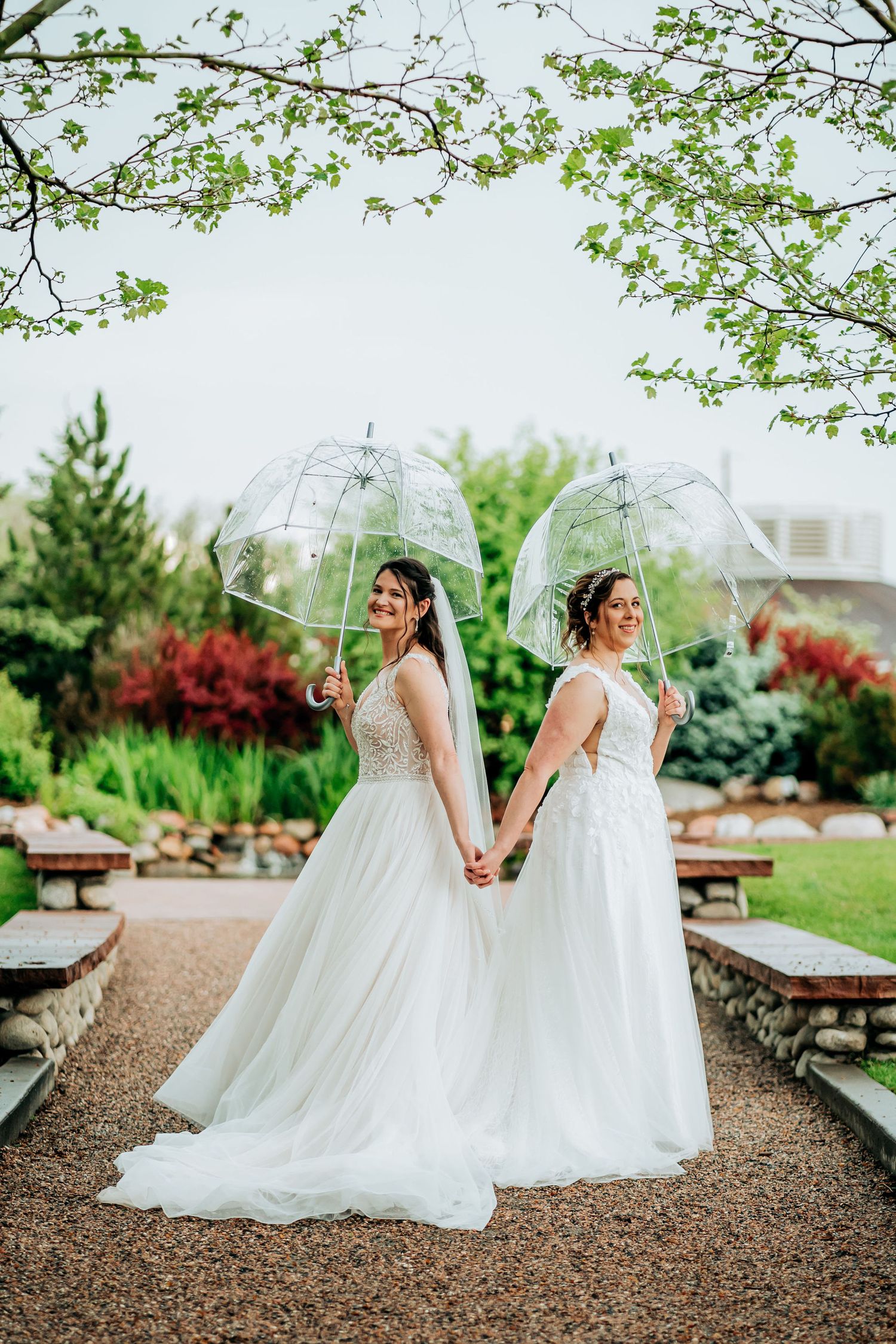 Brides holding clear umbrellas pose together in matching white gowns on a garden path.