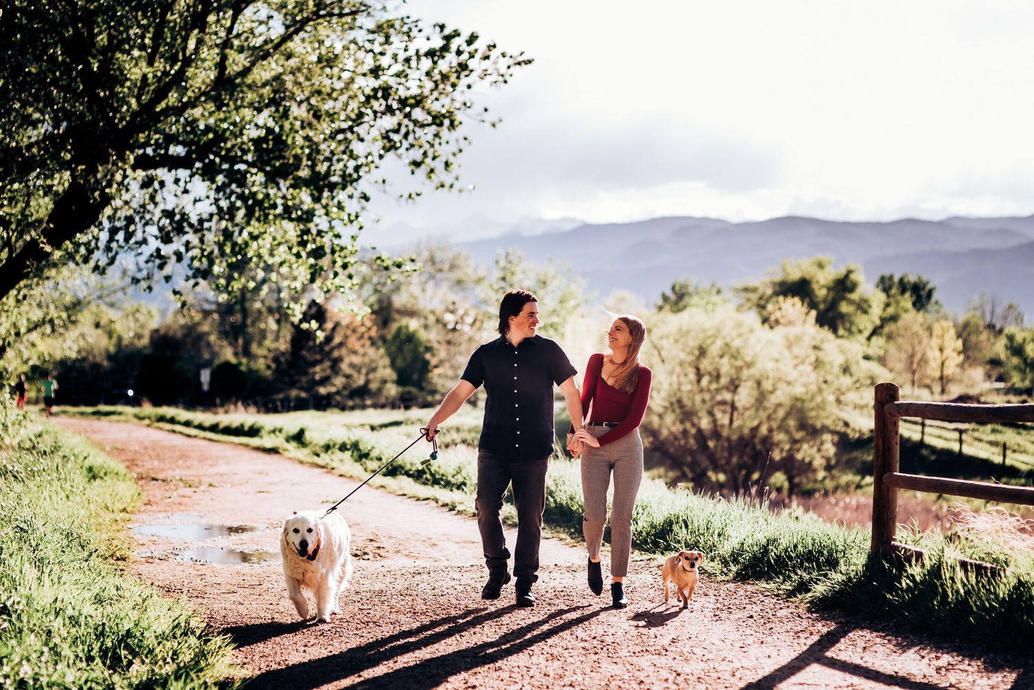 Couple walks dogs along mountain trail with scenic views.
