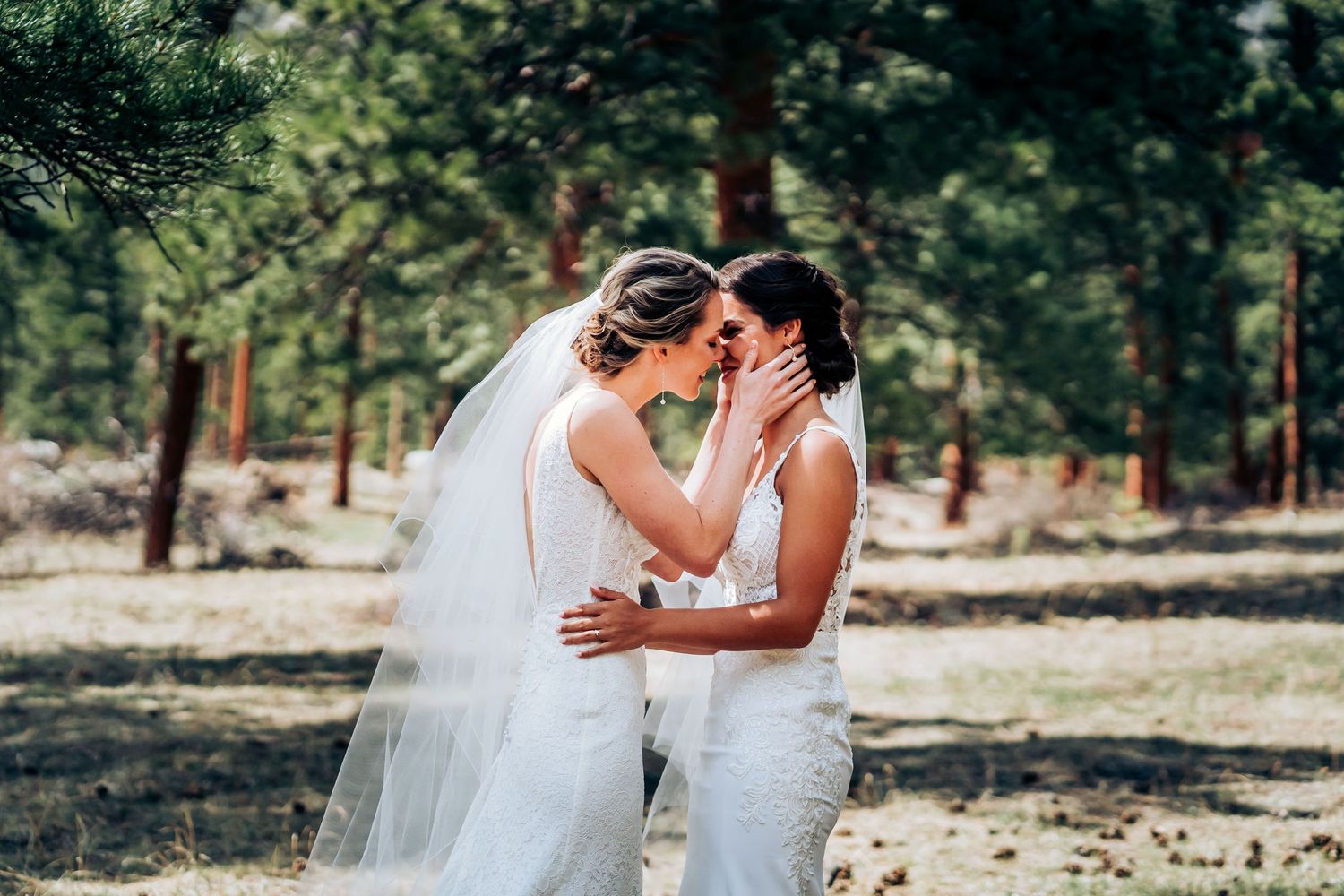 A tender moment between two brides in white dresses among pine trees.