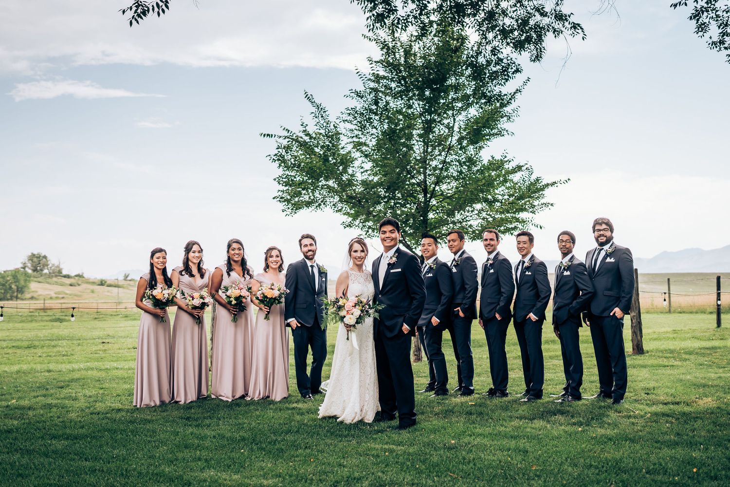 Full wedding party portrait with bridesmaids in blush and groomsmen in navy on a sunny lawn.