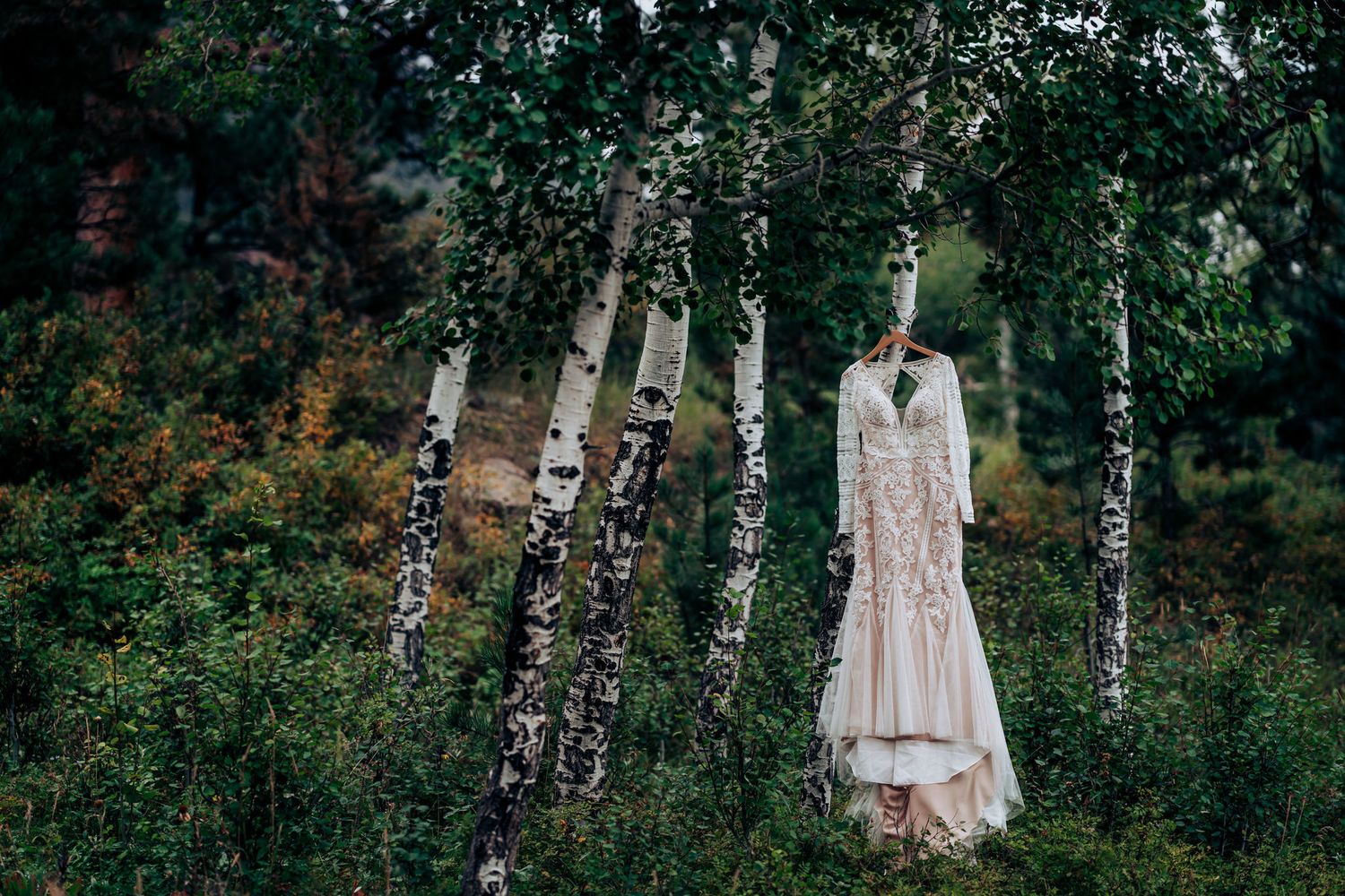 Blush wedding gown suspended among birch trees in moody forest landscape.
