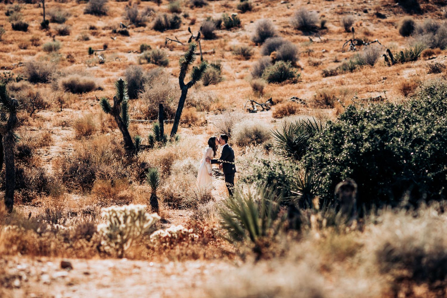 Distant view of wedding ceremony amongst desert vegetation and rolling hills.