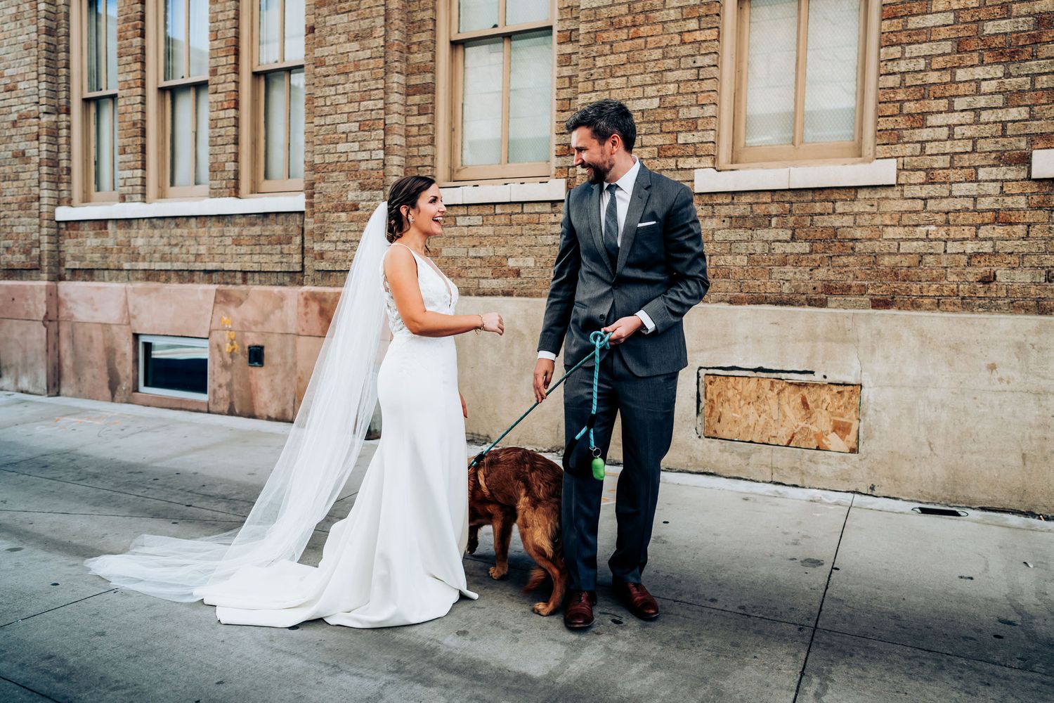 A couple in wedding attire stands on a city sidewalk with their brown dog beside a brick building.