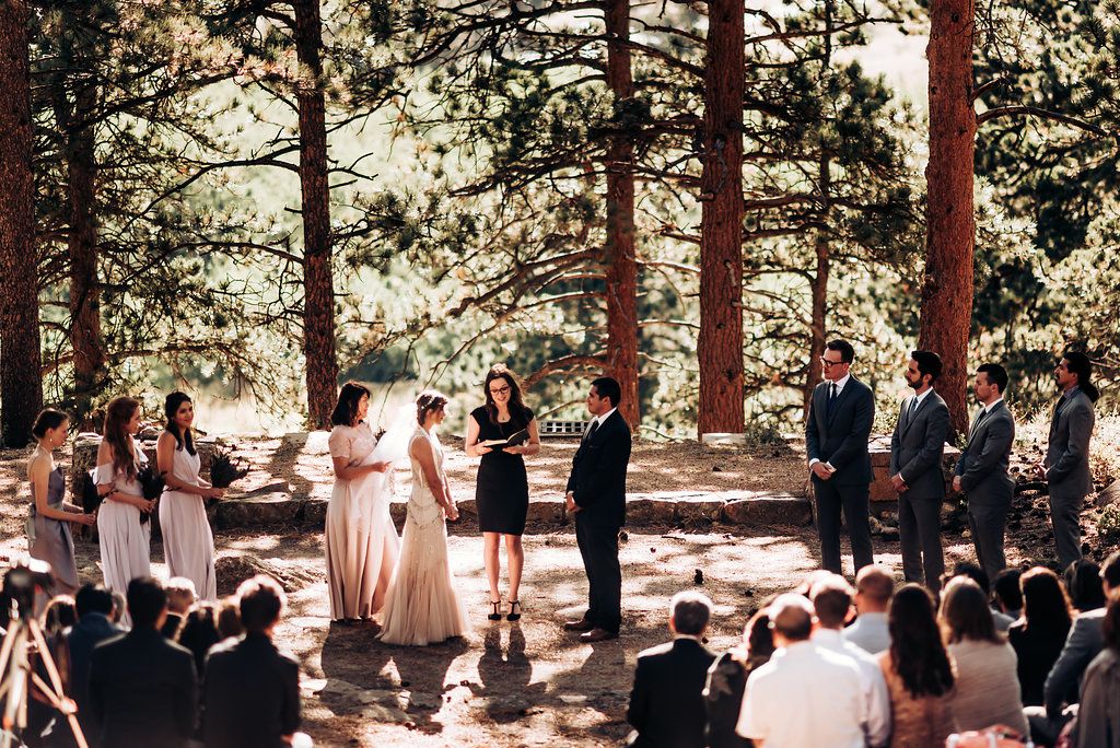 Outdoor forest wedding ceremony with guests gathered among tall pine trees.