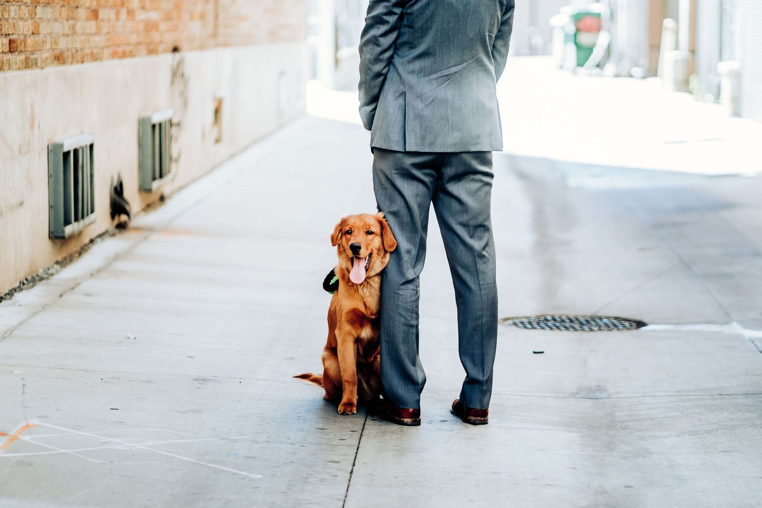 A brown dog sits obediently next to someone wearing a formal suit on an urban sidewalk.
