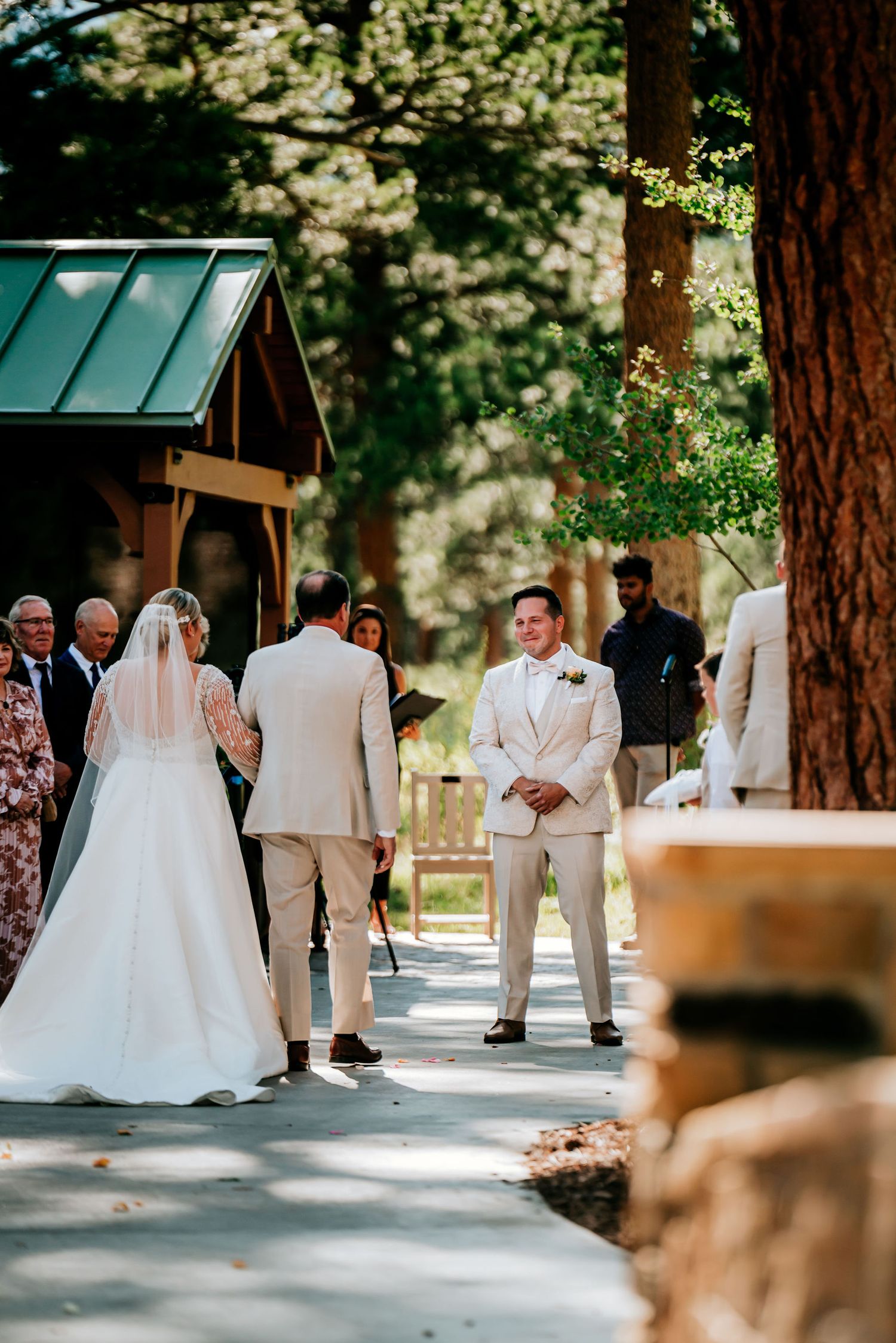 Outdoor wedding ceremony setup with rustic wooden structure among tall pine trees.
