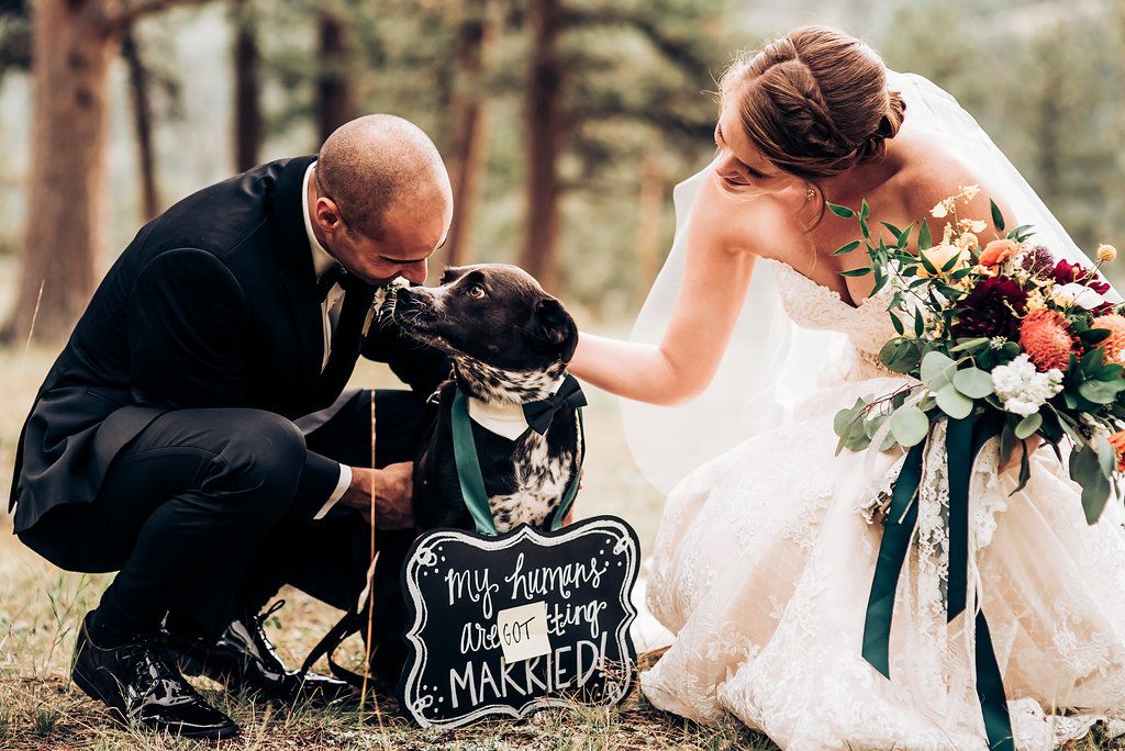 Wedding couple shares tender moment with their dog and chalkboard sign in forest setting.