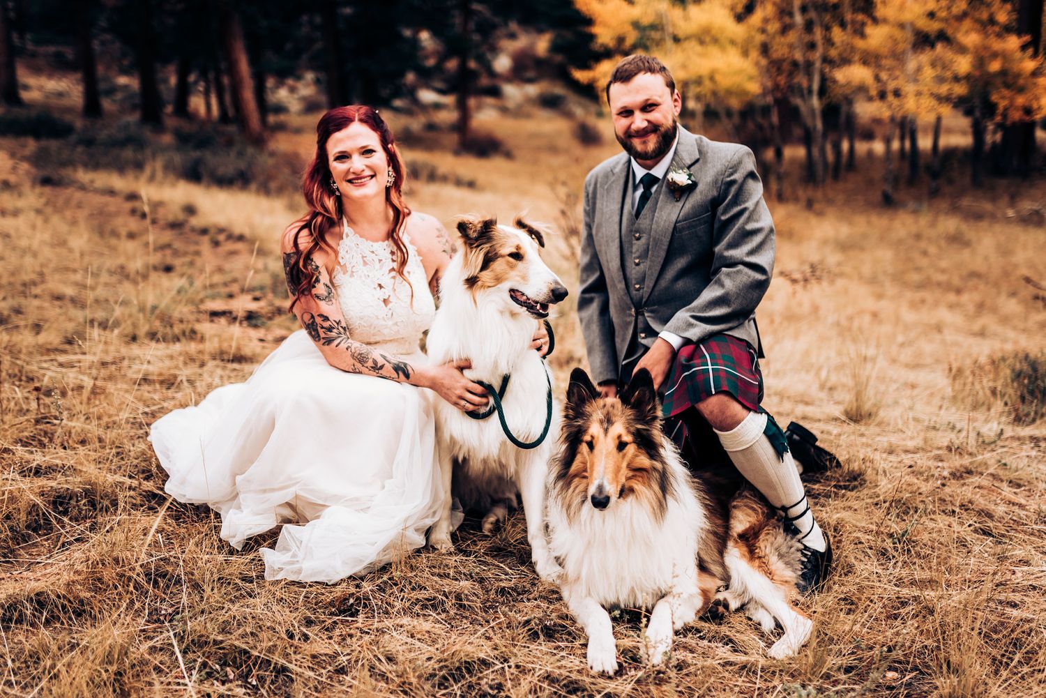 Wedding couple poses with their two dogs in autumn mountain setting.