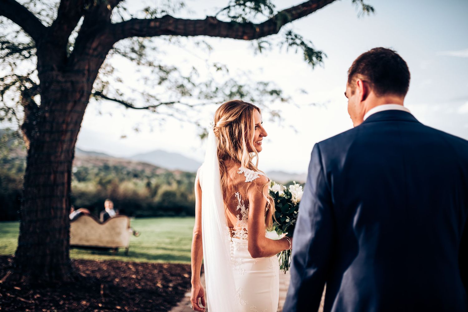 Wedding couple sharing intimate moment under large tree with scenic mountain backdrop.