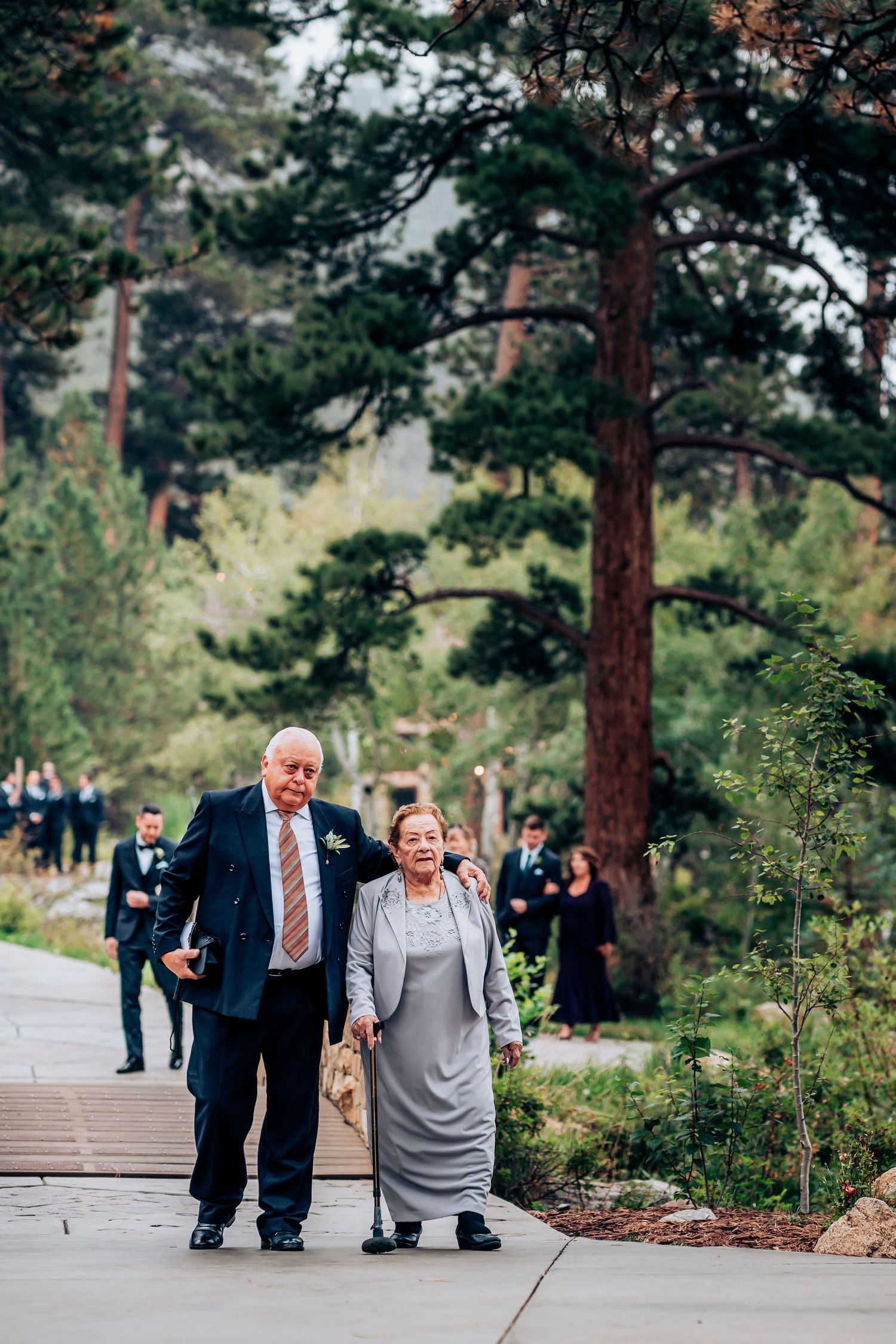 Couple walking hand in hand on paved pathway surrounded by tall pine trees.