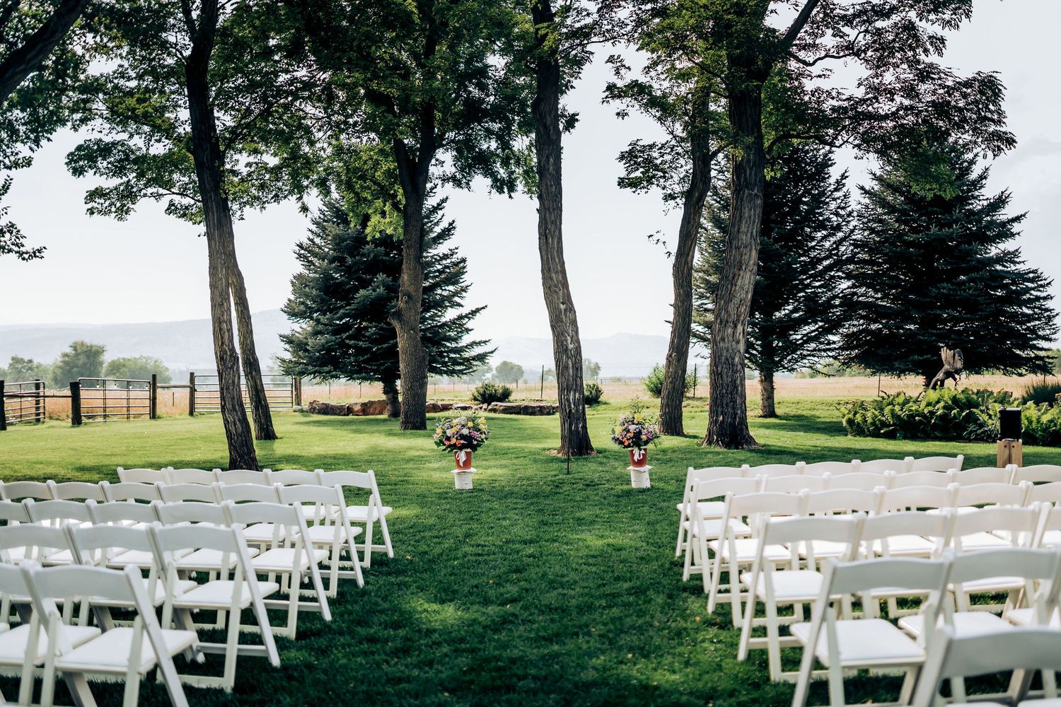 White wedding chairs set up in rows on a grass lawn surrounded by tall trees.