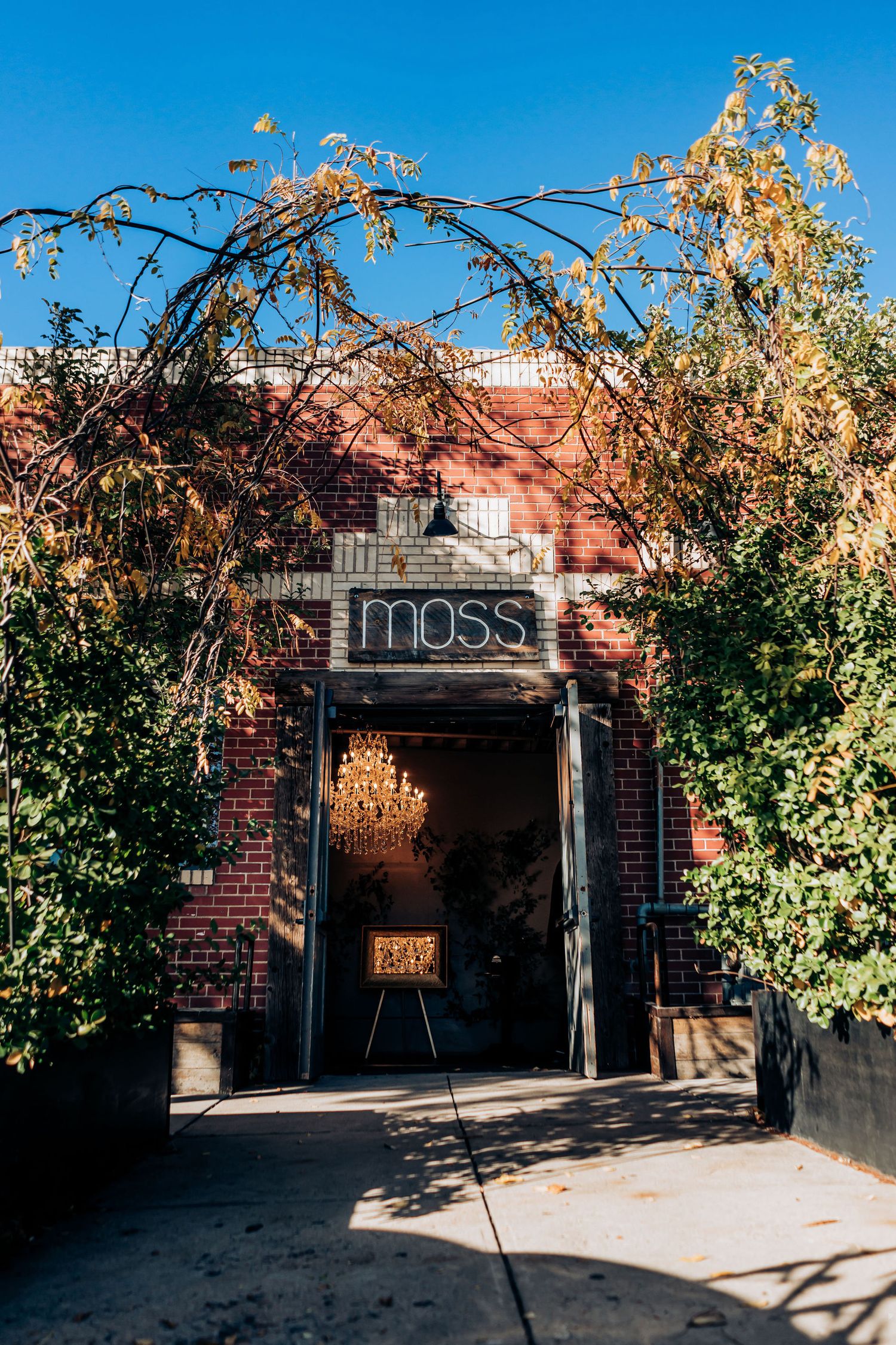 Entrance to Moss venue with brick exterior and natural foliage arch.