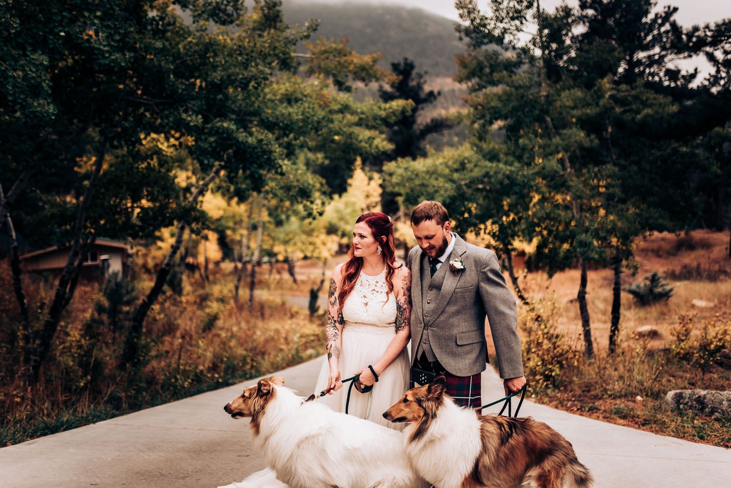 A wedding couple poses on a pathway with their furry companions in a mountain setting.
