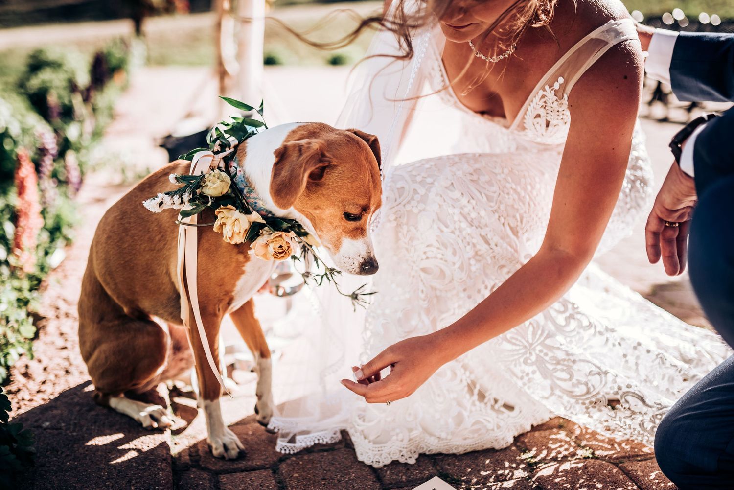 Dog wearing floral collar sits attentively next to wedding dress during outdoor celebration.