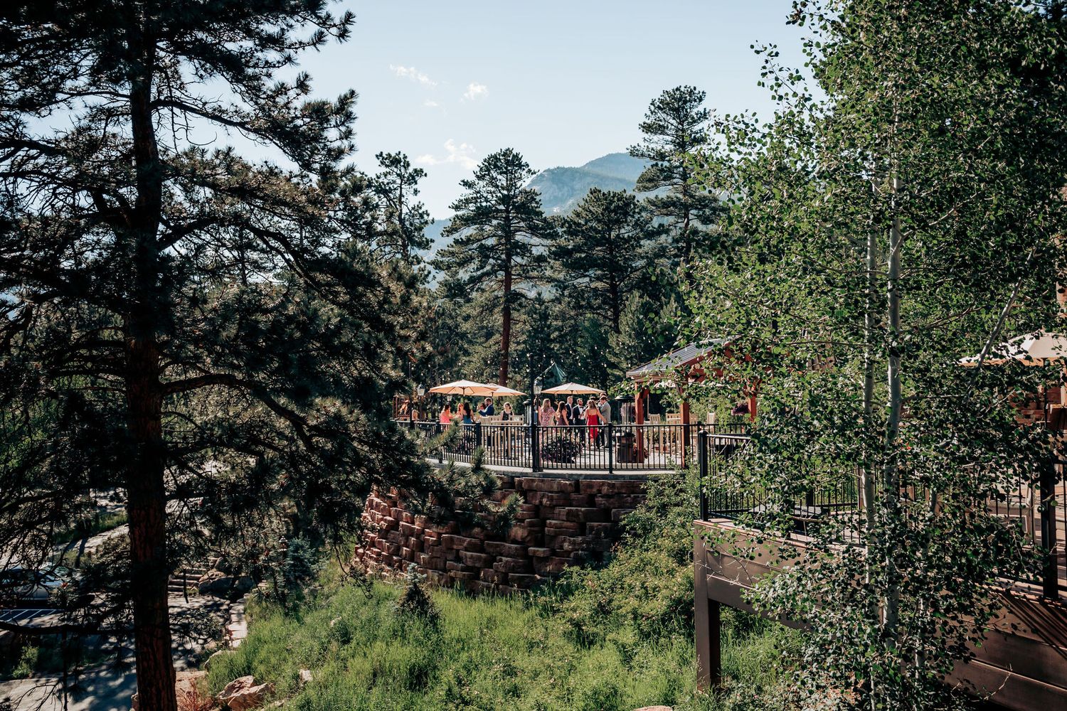 Mountain wedding venue surrounded by tall pine trees with guests gathering on a paved pathway.