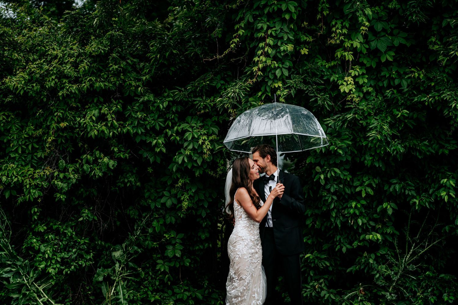 A wedding couple shares an intimate moment under a clear umbrella against lush greenery.