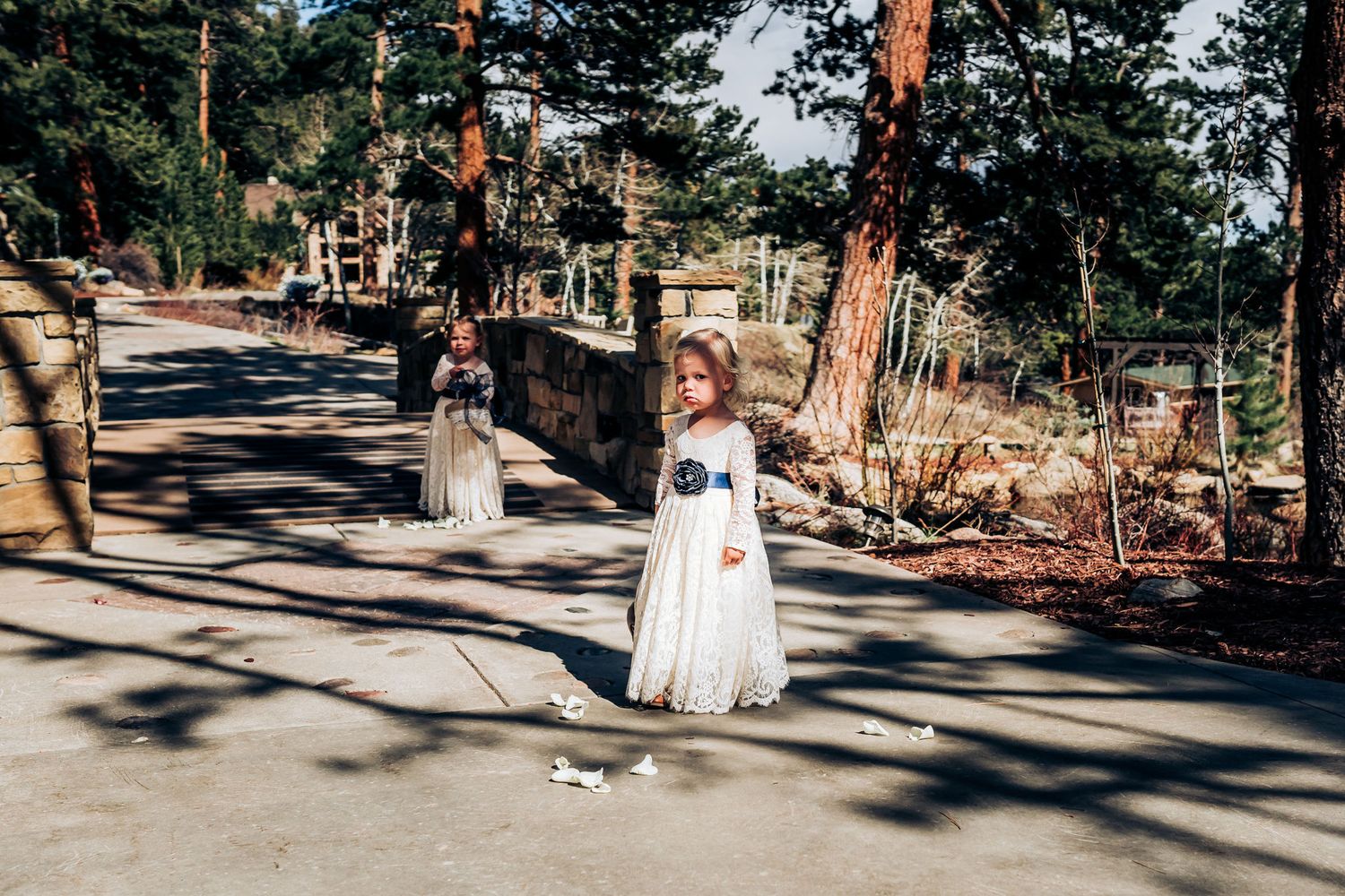 Young flower girl spreads petals along sunlit path during outdoor ceremony.