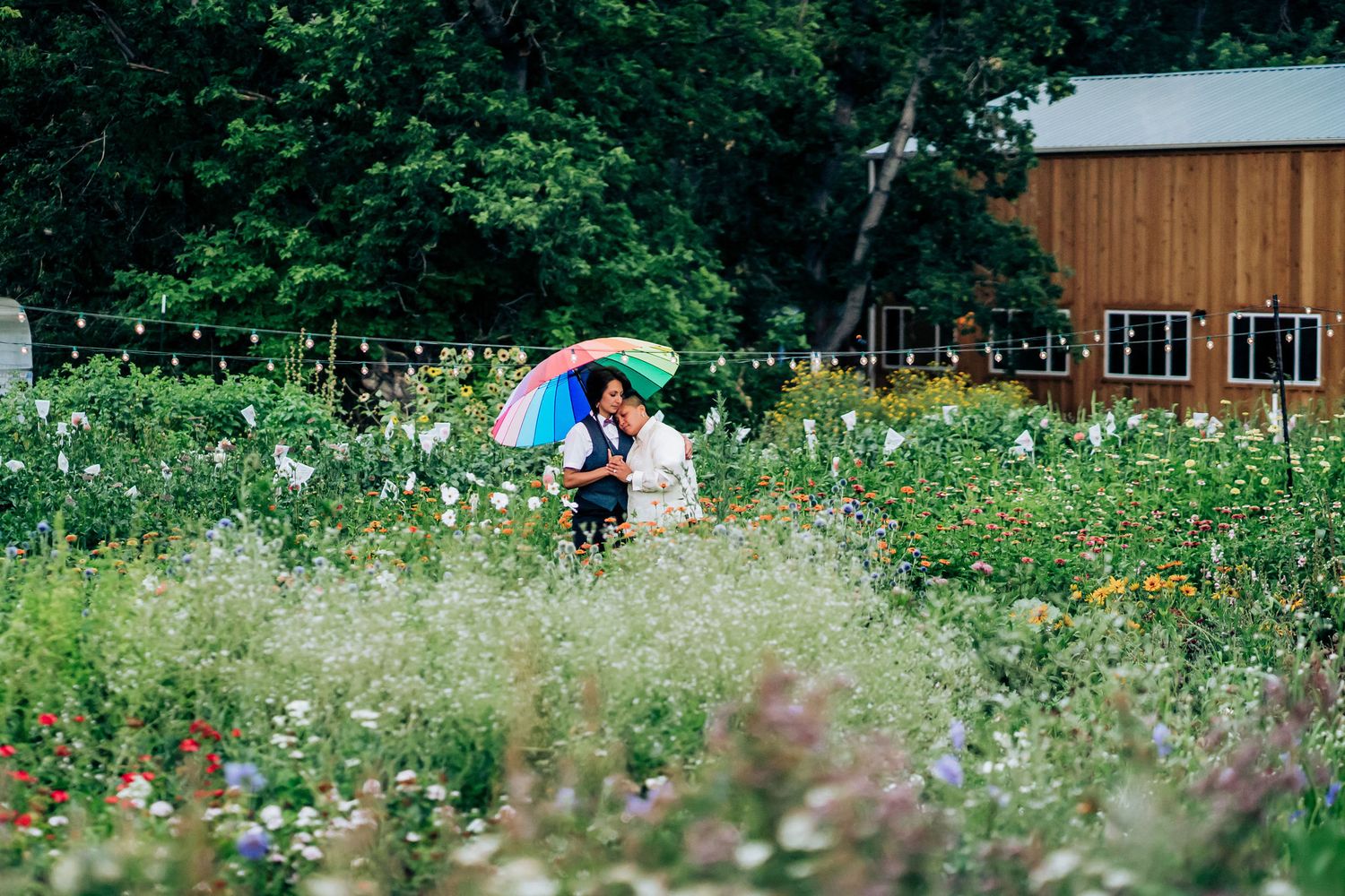 A rainbow umbrella stands out among wildflowers in a lush garden setting.