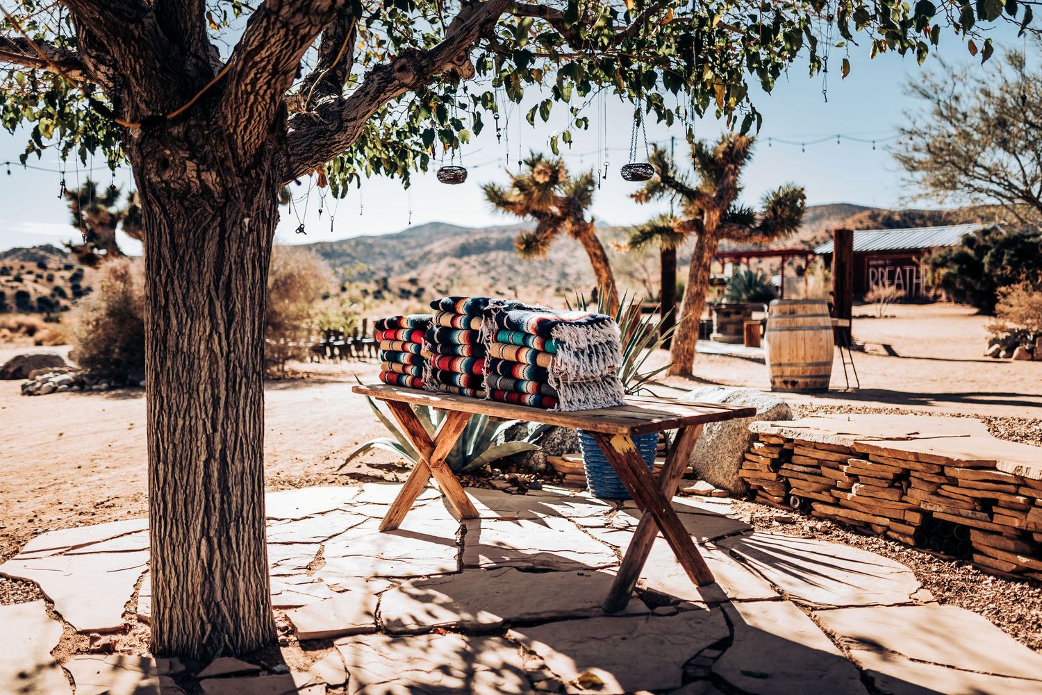 Wooden tables and chairs set up under desert trees for an outdoor event.