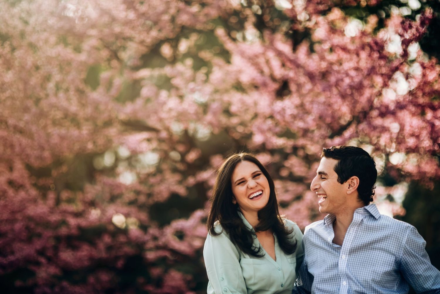 Engagement photos under blooming cherry blossom trees in spring.
