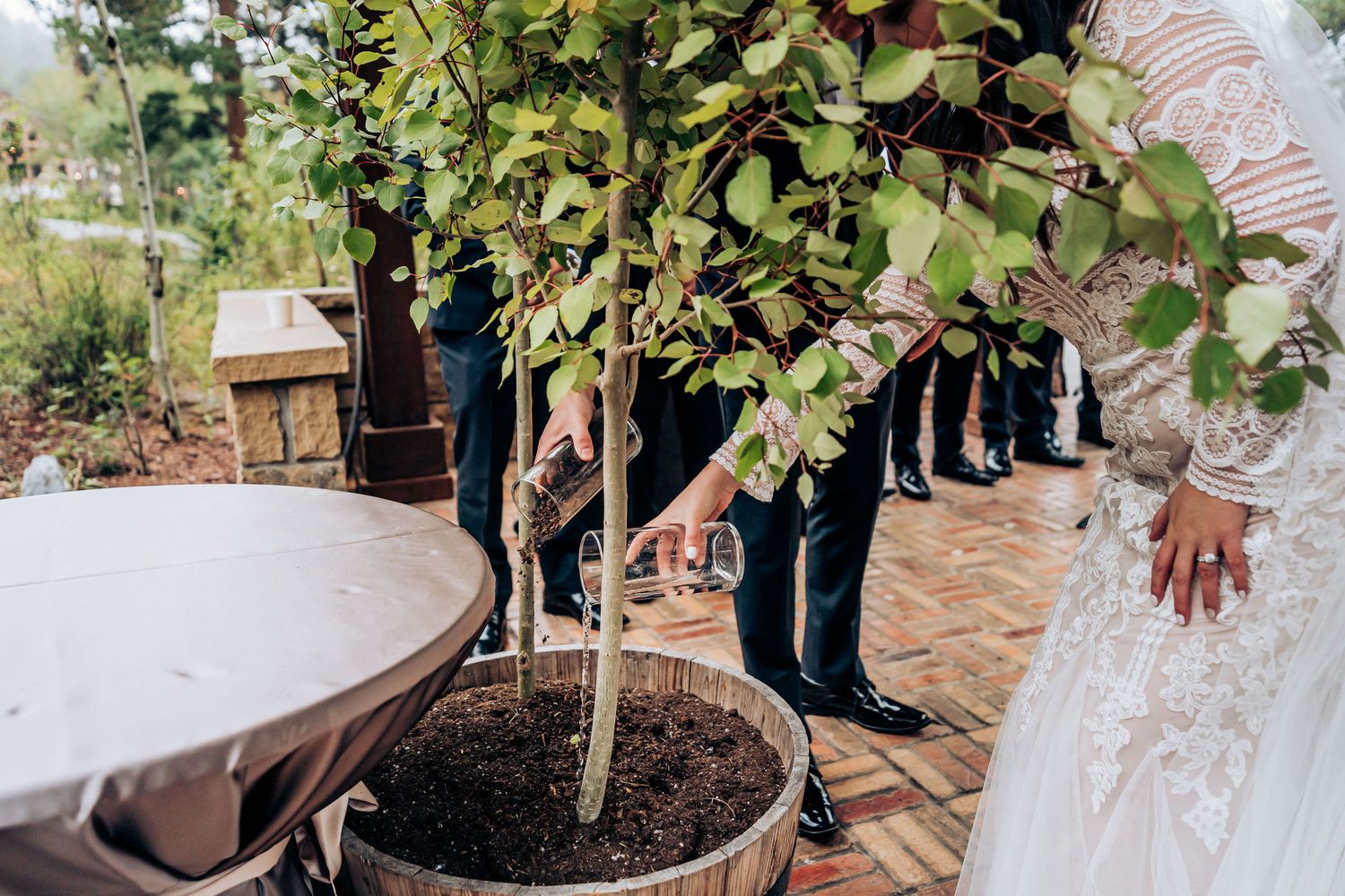 Guests gather around a newly planted tree during an outdoor wedding ceremony in a garden setting.