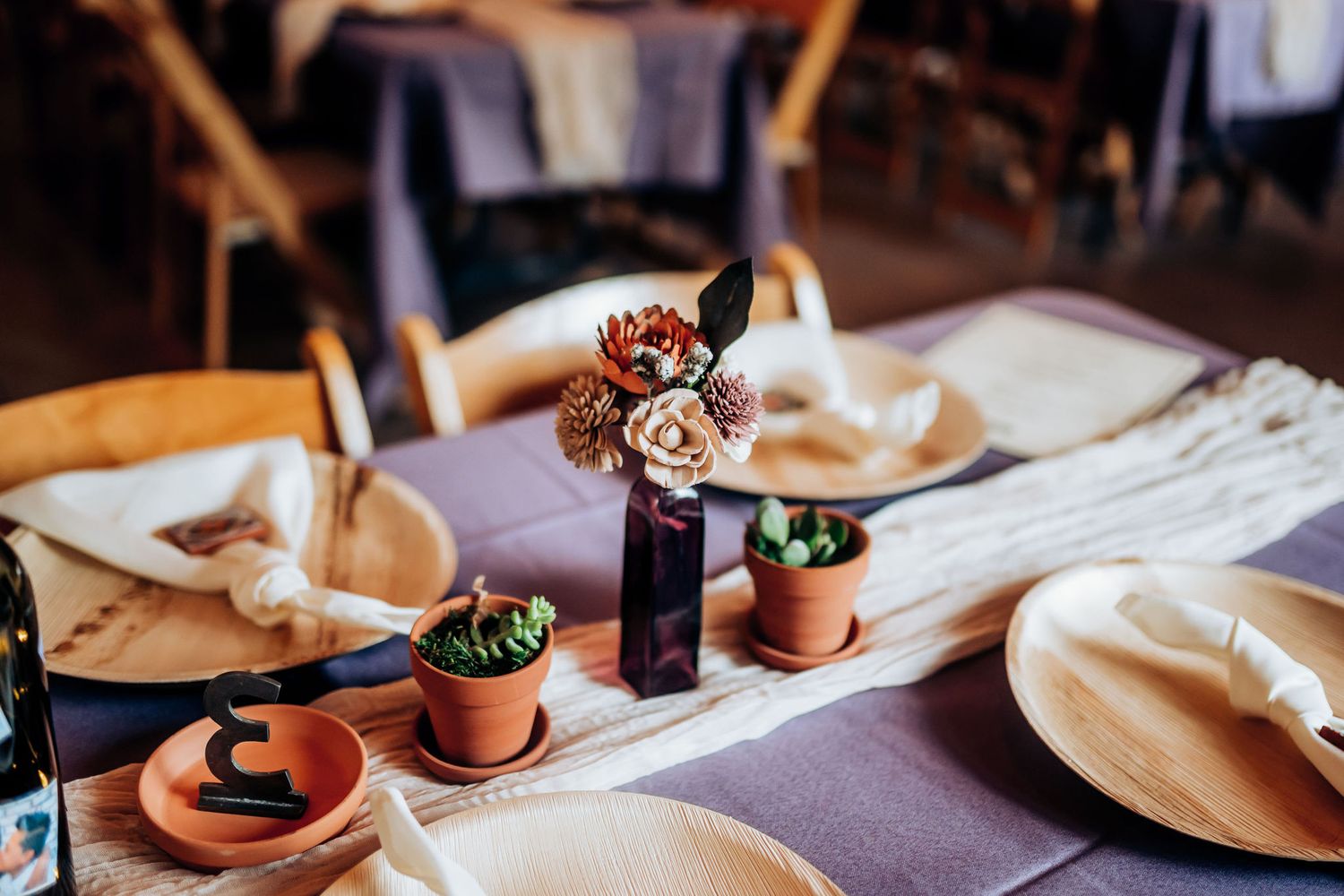 Wedding reception table decorated with small potted succulents and place settings.