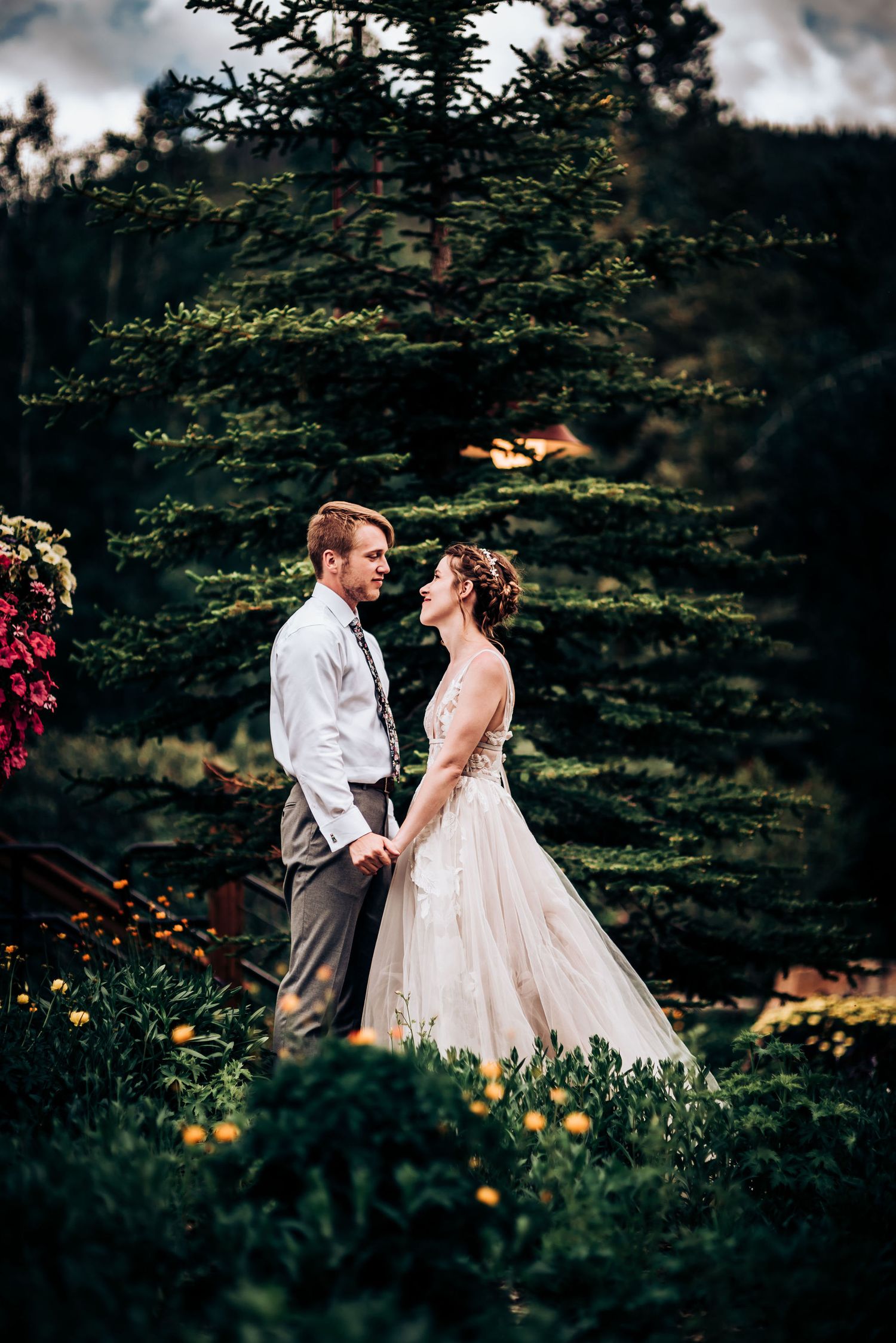 A romantic wedding portrait of a couple standing together in front of an evergreen tree at sunset.