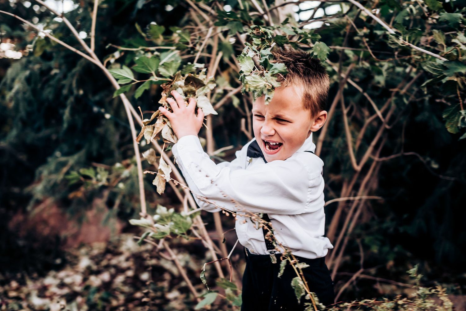 Young child in white shirt and suspenders playing among garden branches.